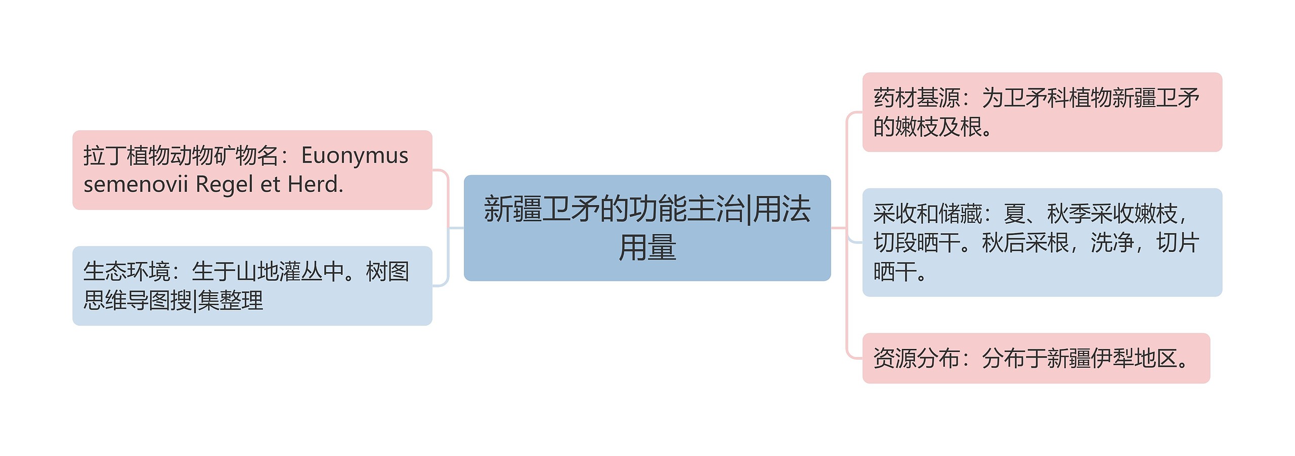 新疆卫矛的功能主治|用法用量思维导图