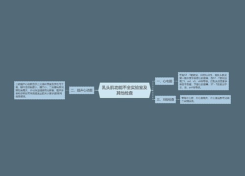 乳头肌功能不全实验室及其他检查