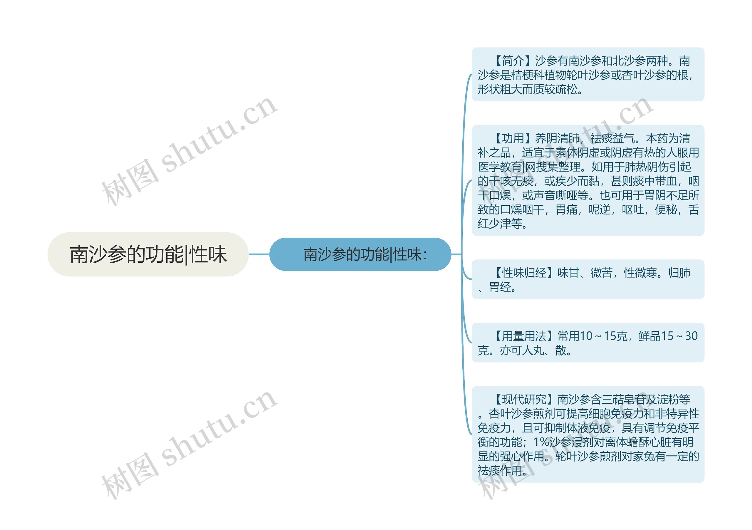 南沙参的功能|性味