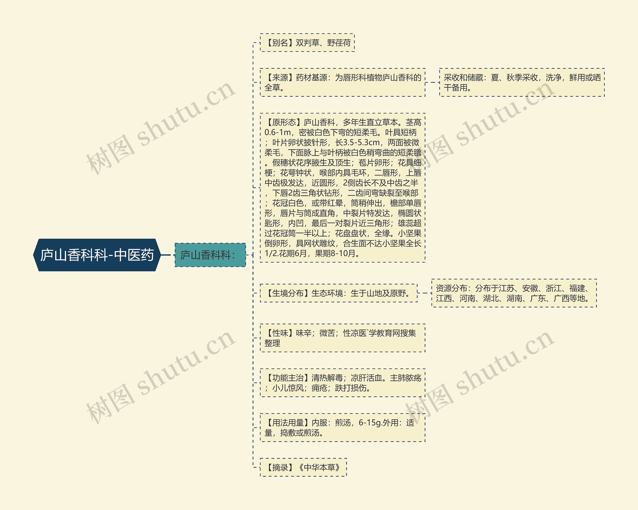 庐山香科科-中医药思维导图