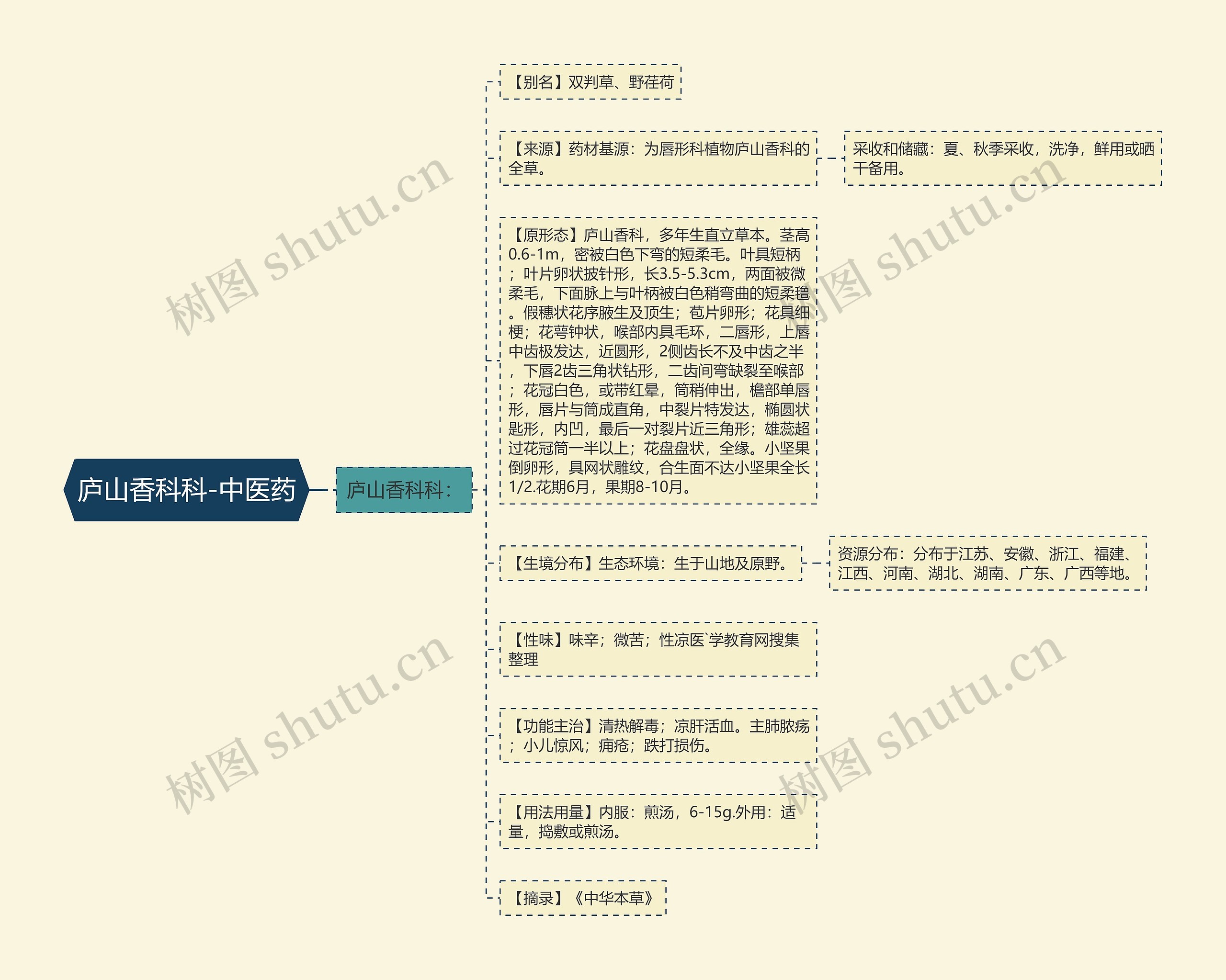 庐山香科科-中医药 庐山香科科-中医药