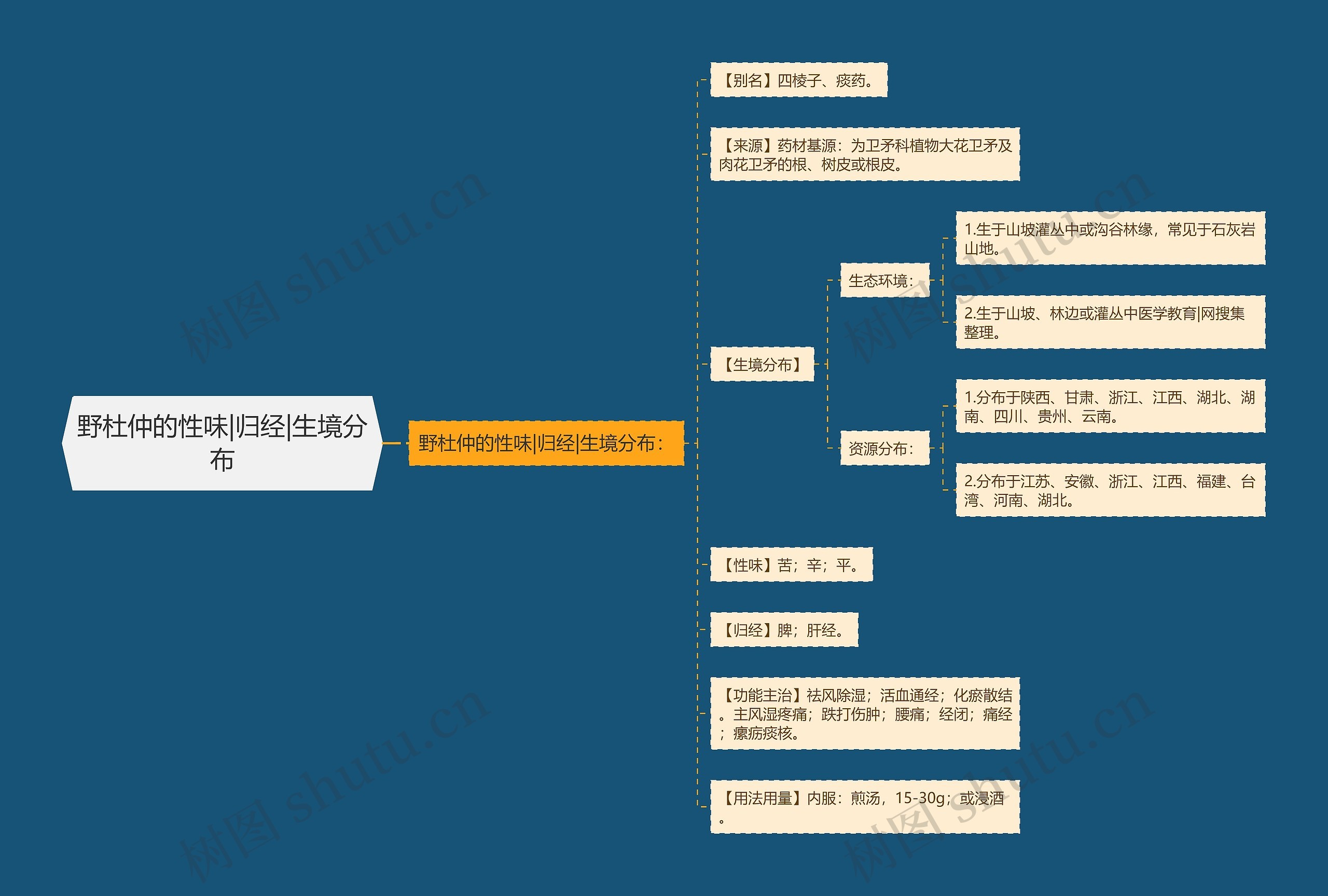 野杜仲的性味|归经|生境分布思维导图