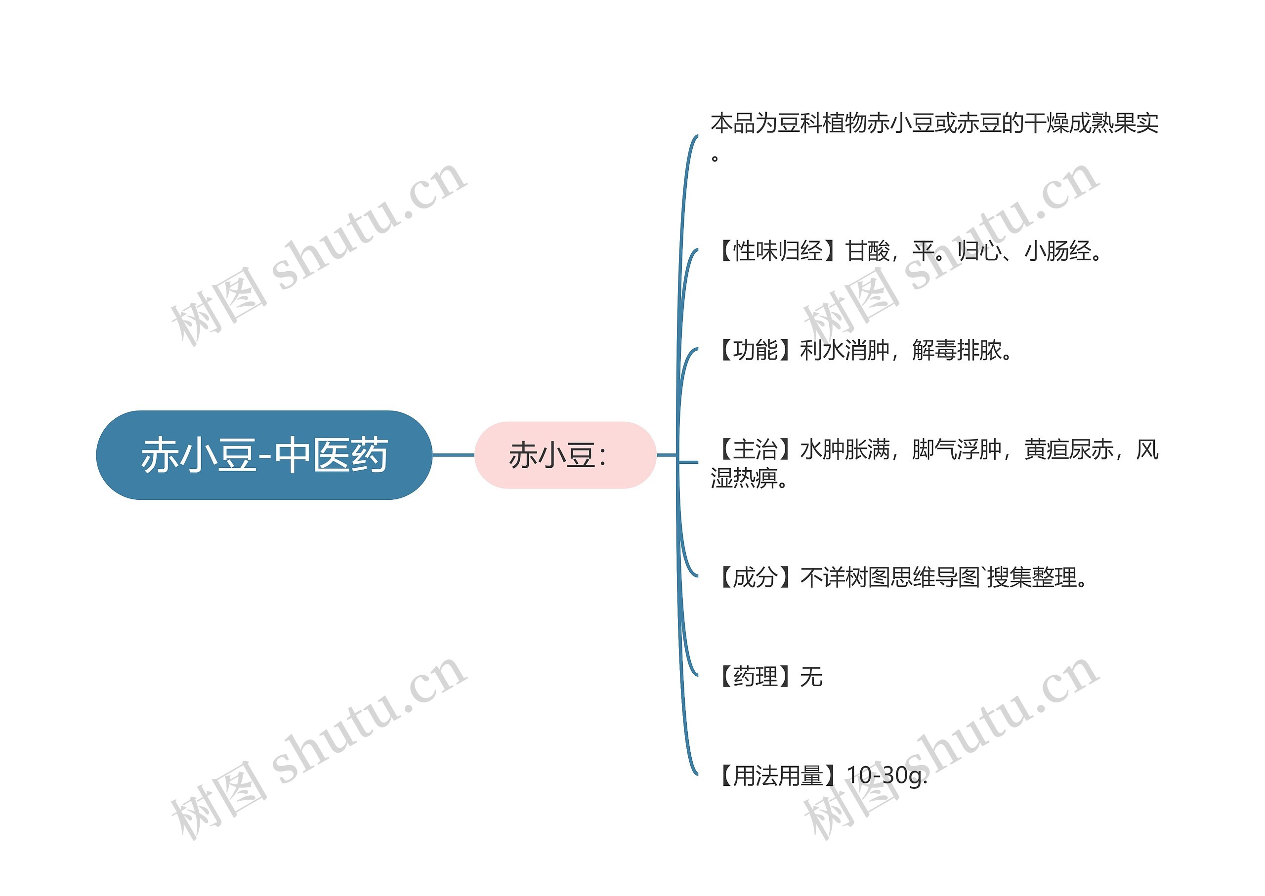 赤小豆-中医药思维导图