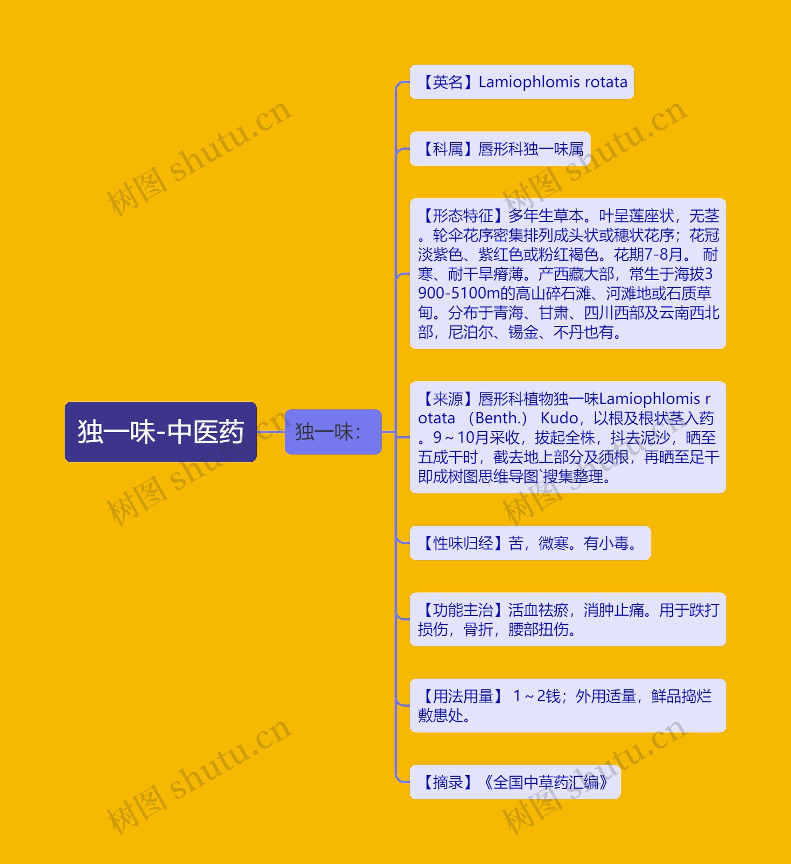 独一味-中医药 独一味-中医药