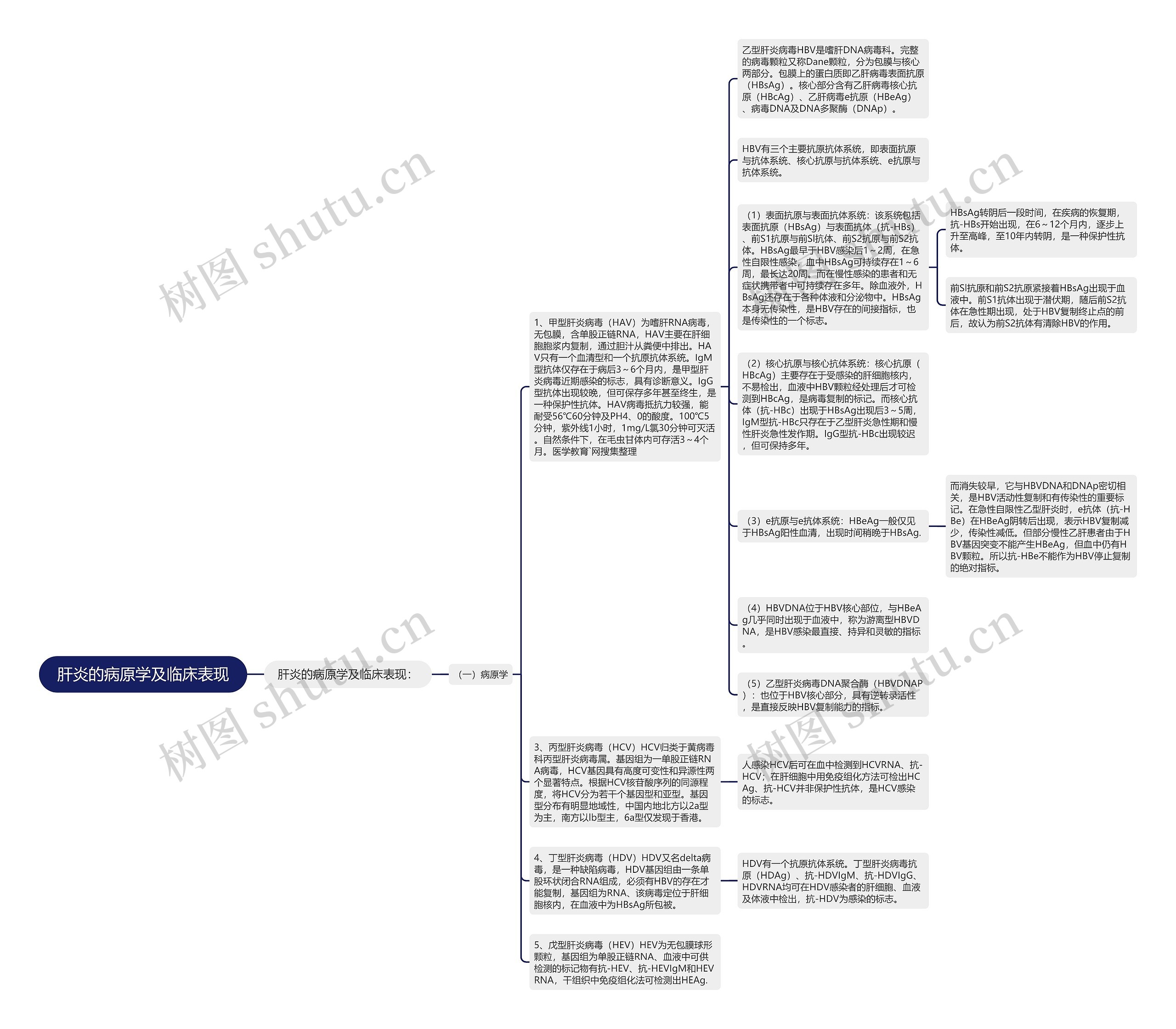 肝炎的病原学及临床表现思维导图