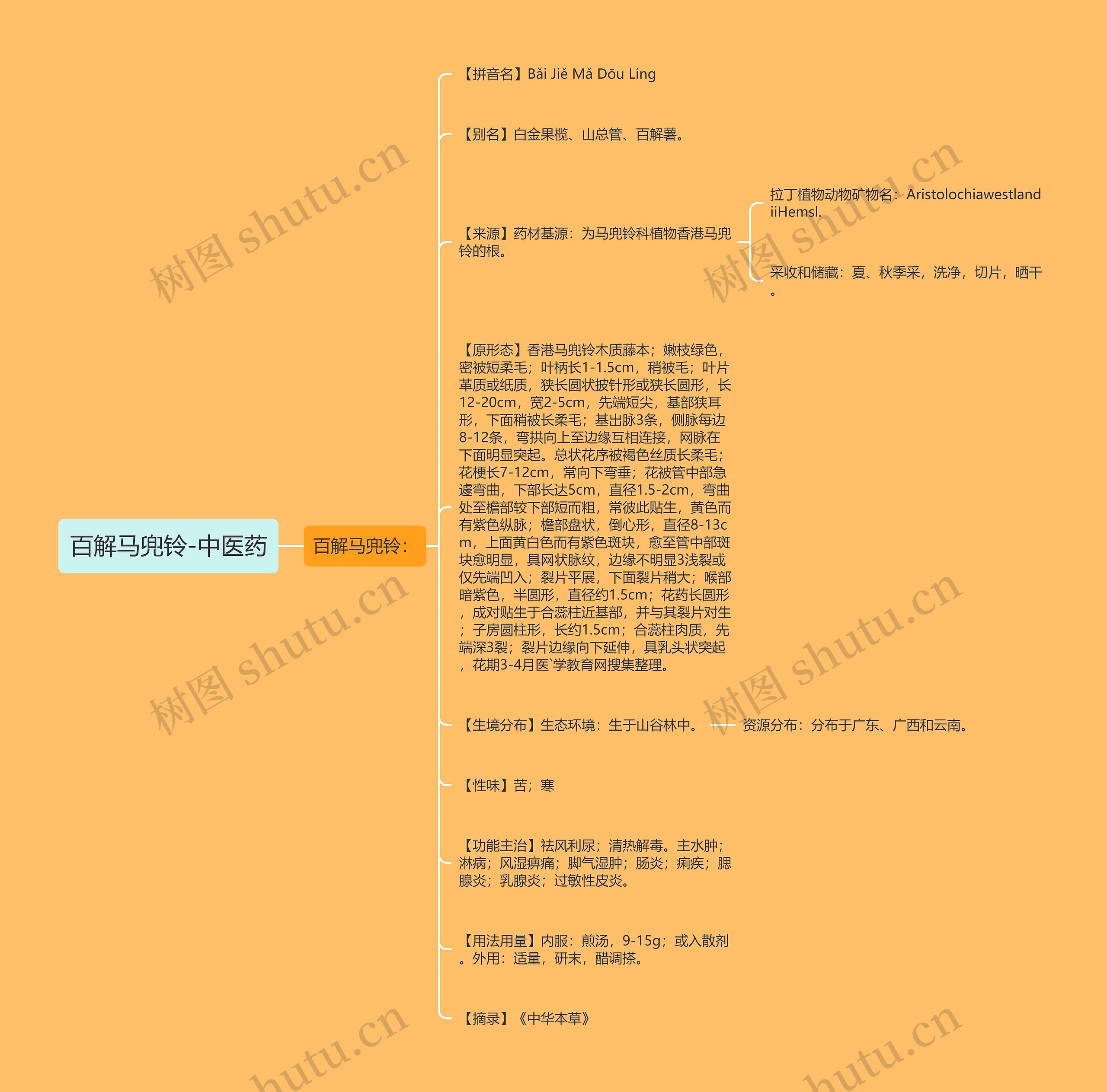 百解马兜铃-中医药 百解马兜铃-中医药