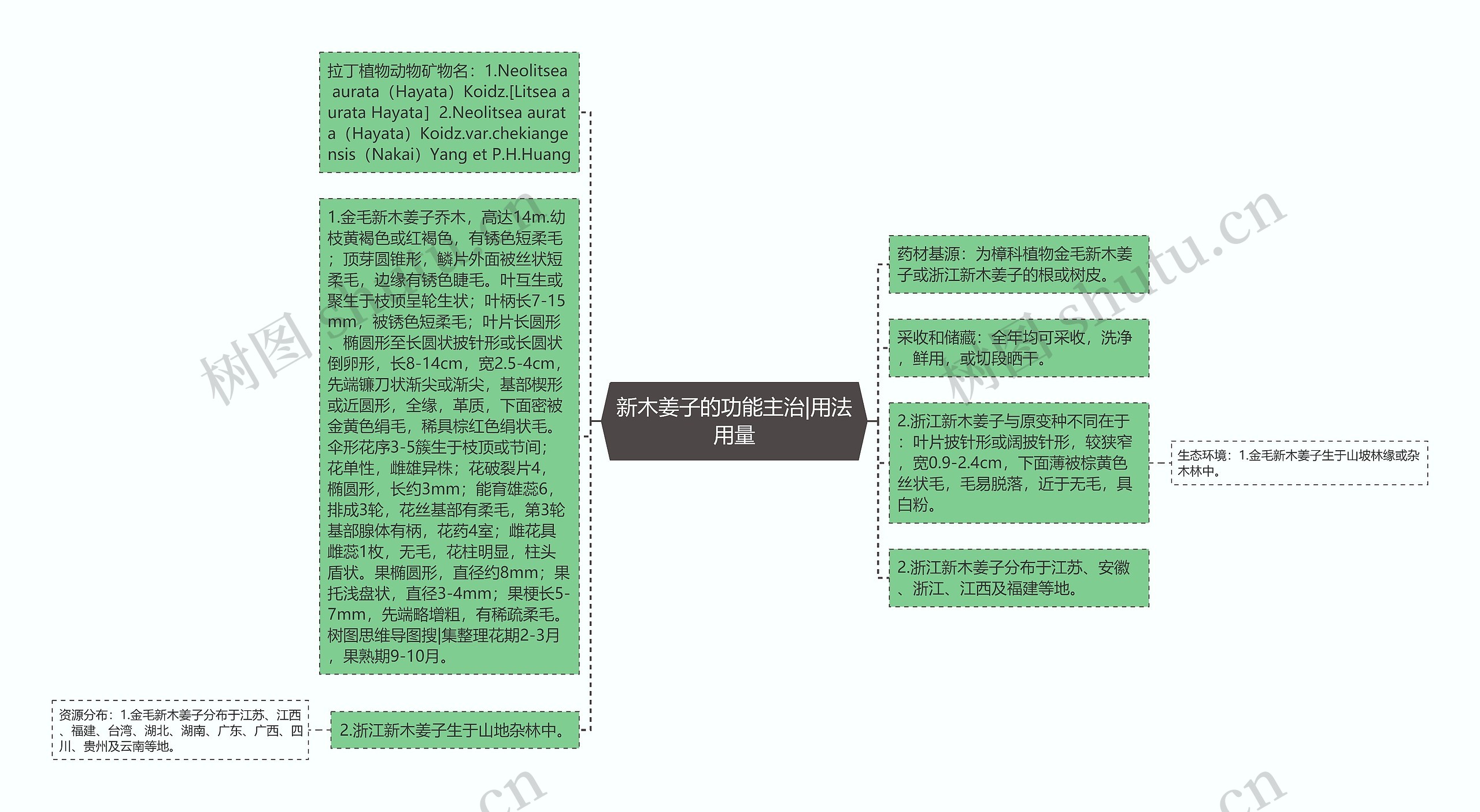 新木姜子的功能主治|用法用量