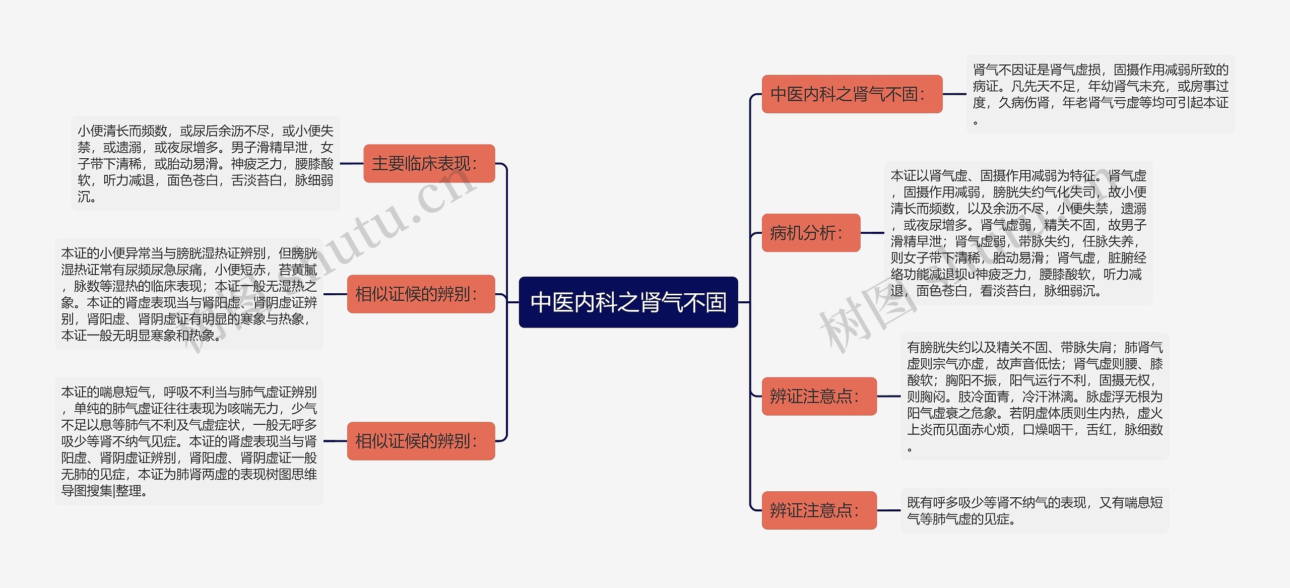 中医内科之肾气不固思维导图