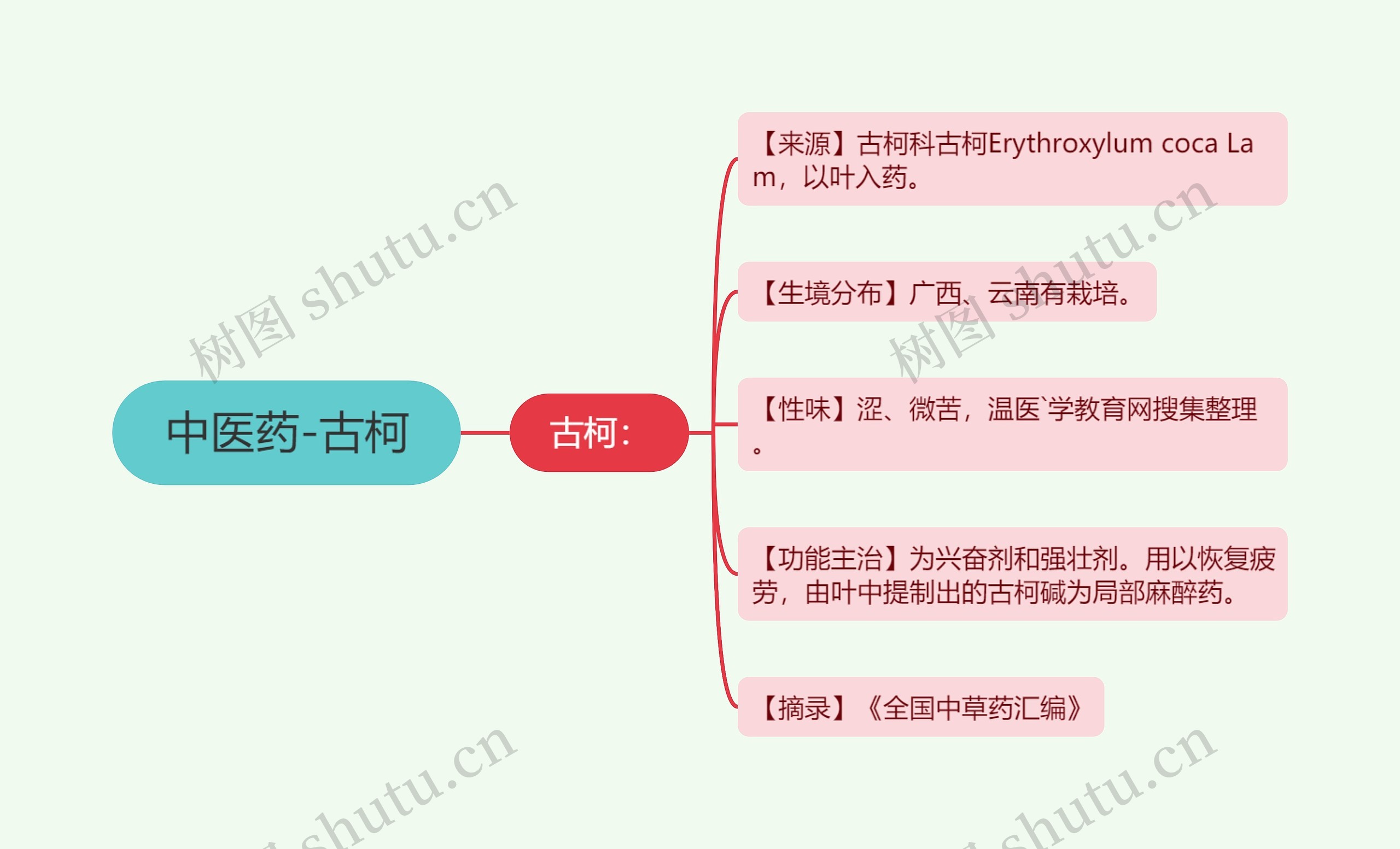 中医药-古柯思维导图