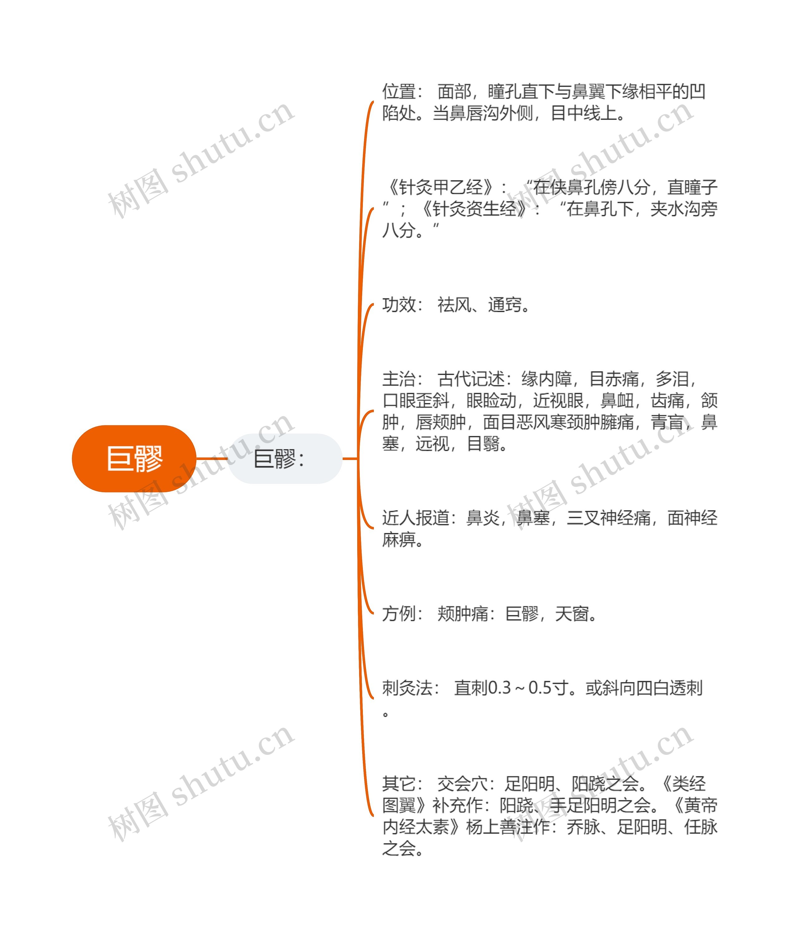 巨髎思维导图