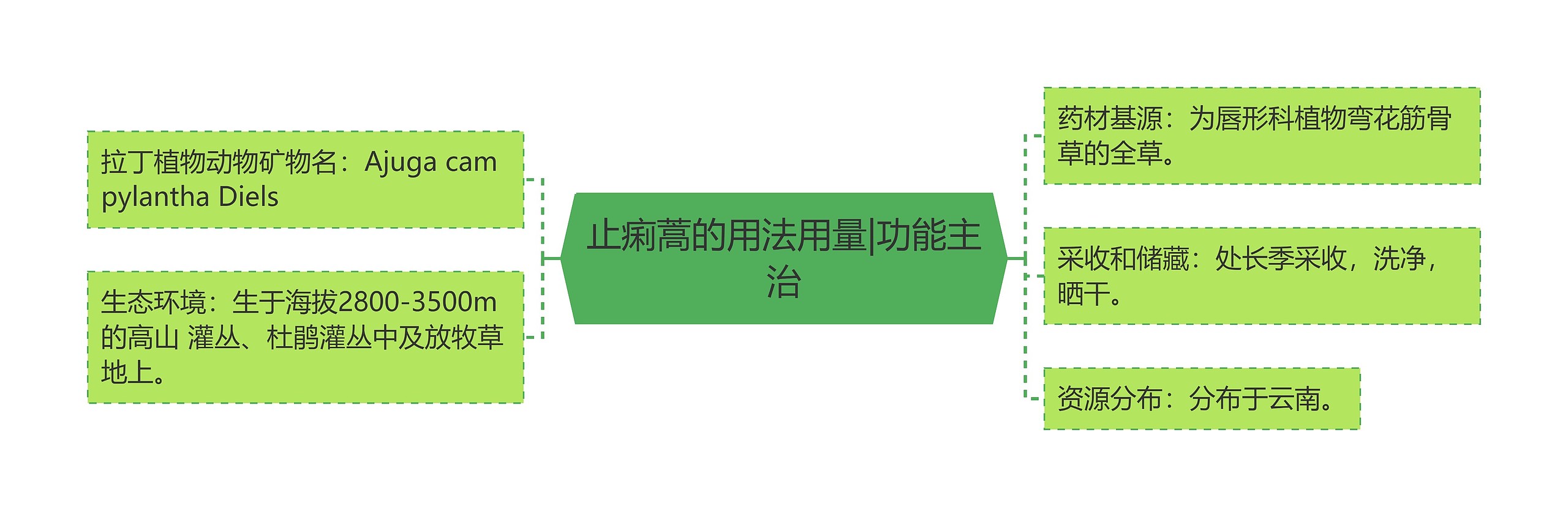 止痢蒿的用法用量|功能主治 止痢蒿的用法用量|功能主治