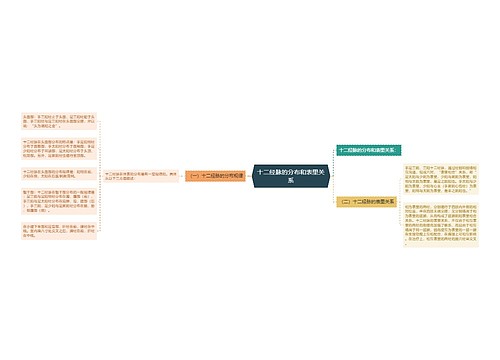 十二经脉的分布和表里关系