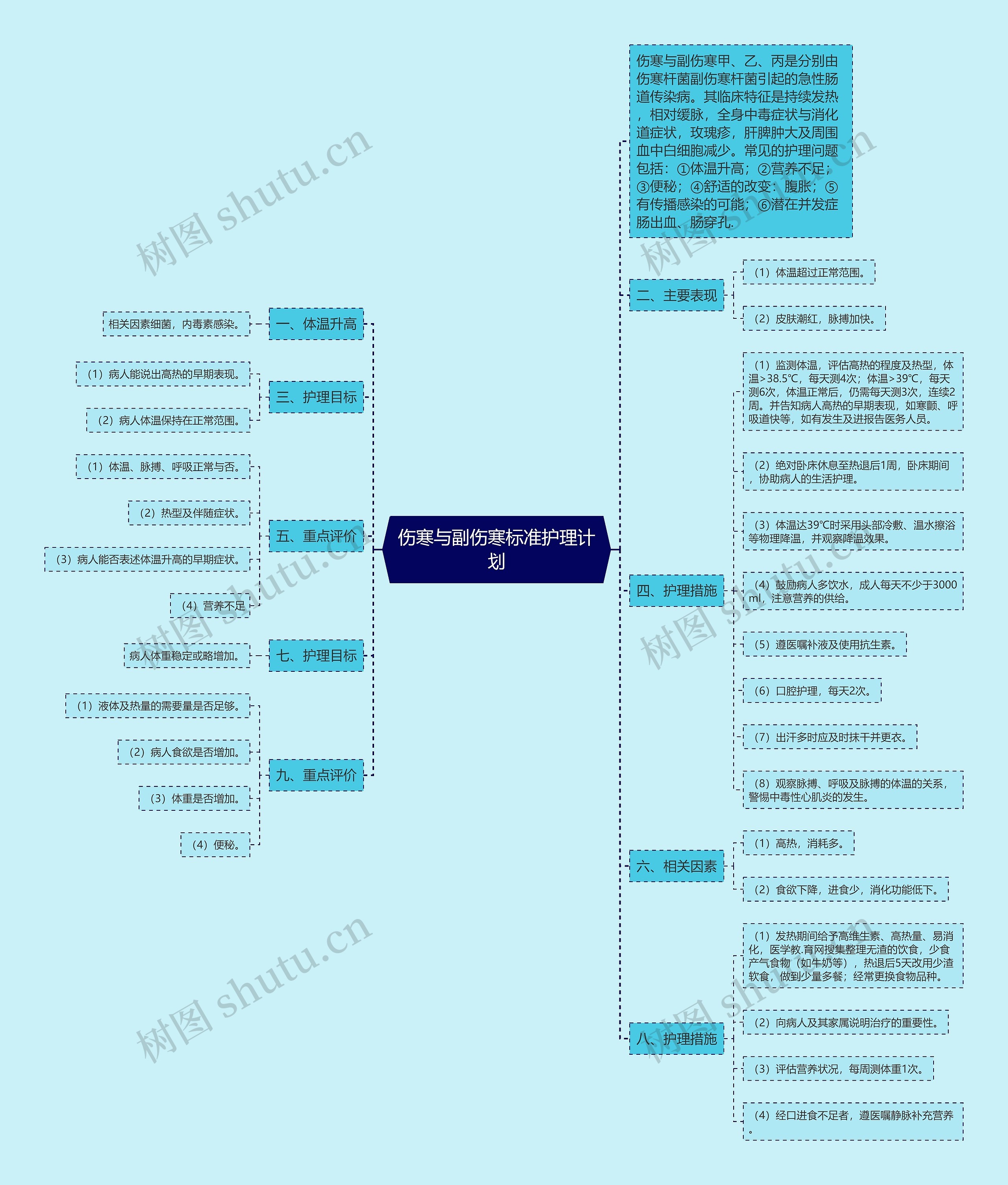伤寒与副伤寒标准护理计划思维导图