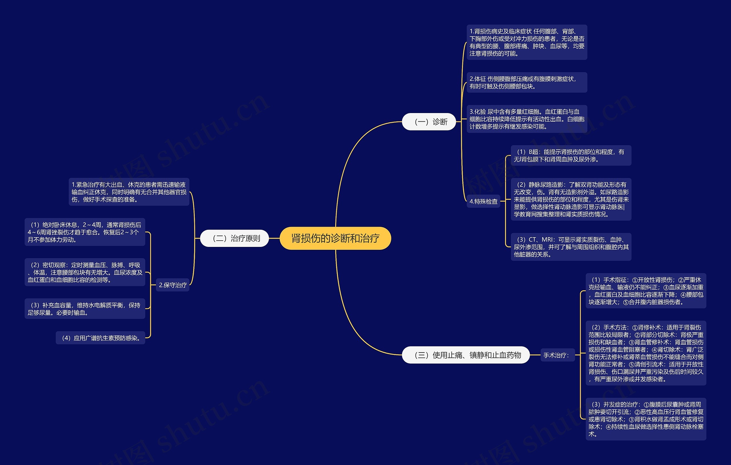 肾损伤的诊断和治疗 肾损伤的诊断和治疗