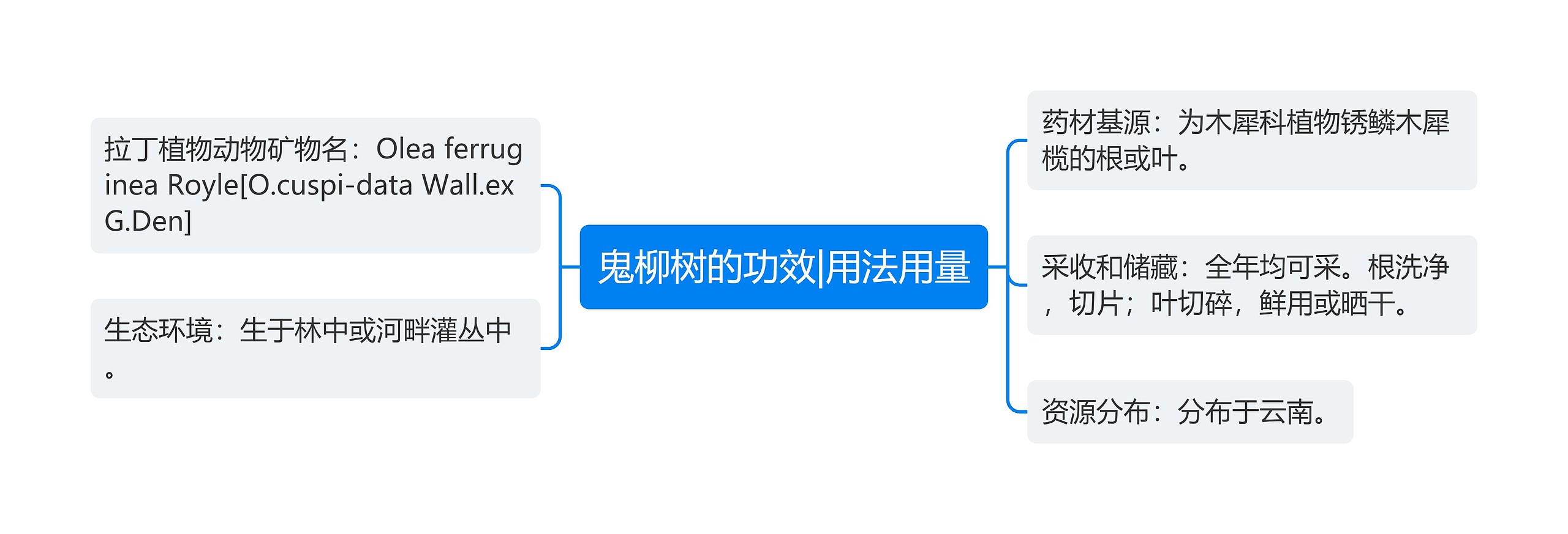 鬼柳树的功效|用法用量