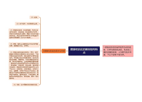 腮腺咬肌区的解剖结构特点