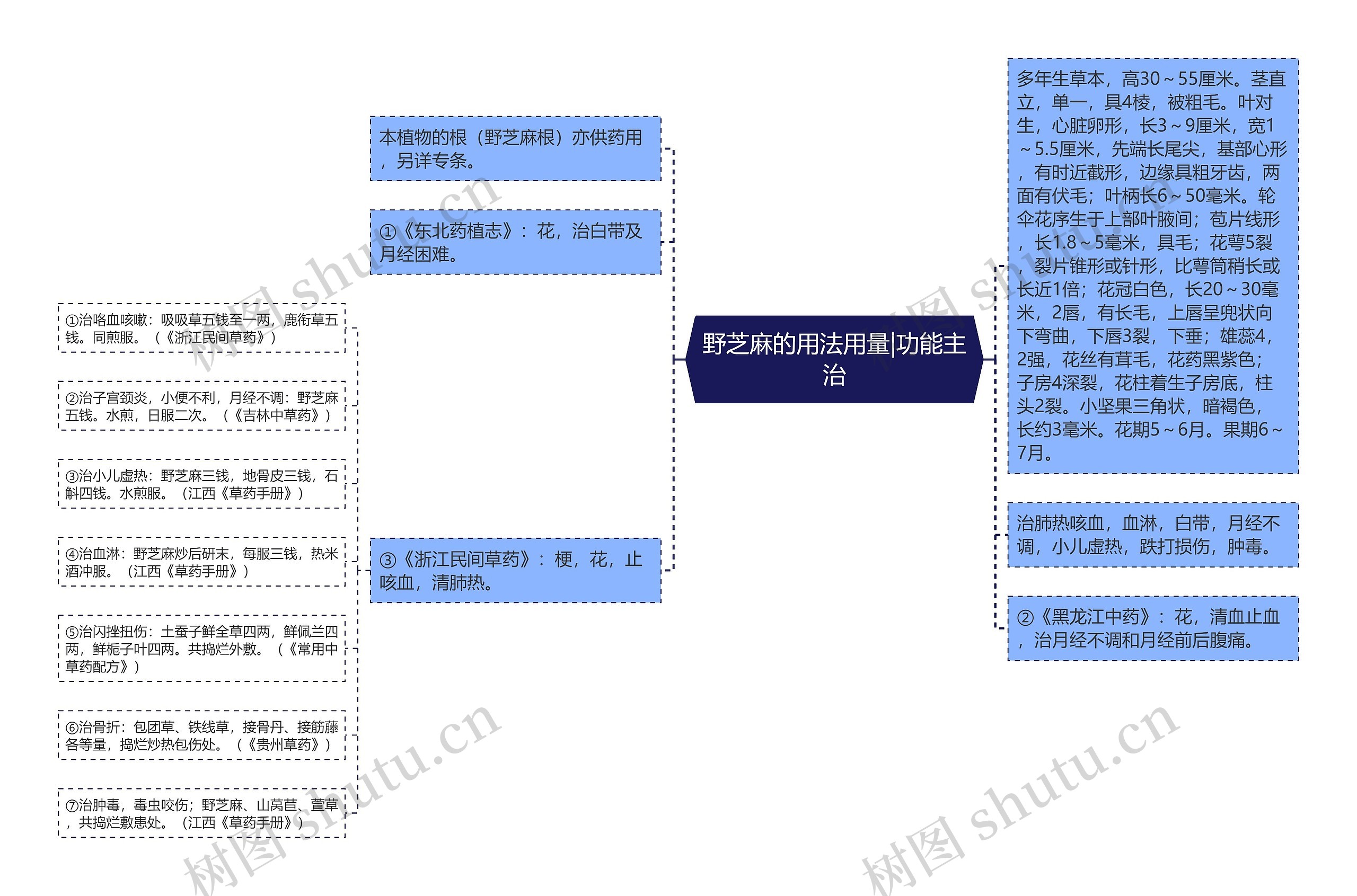 野芝麻的用法用量|功能主治 野芝麻的用法用量|功能主治