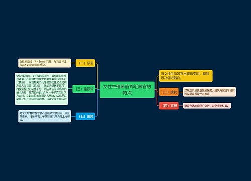 女性生殖器官邻近器官的特点