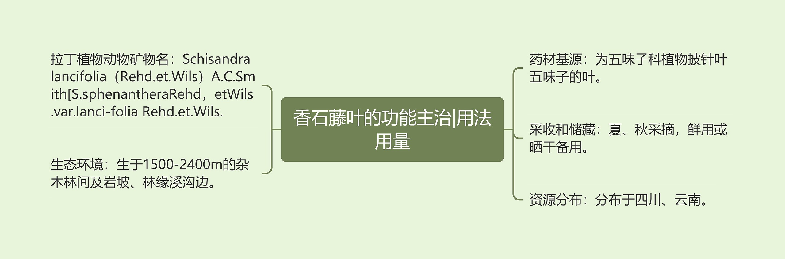 香石藤叶的功能主治|用法用量思维导图