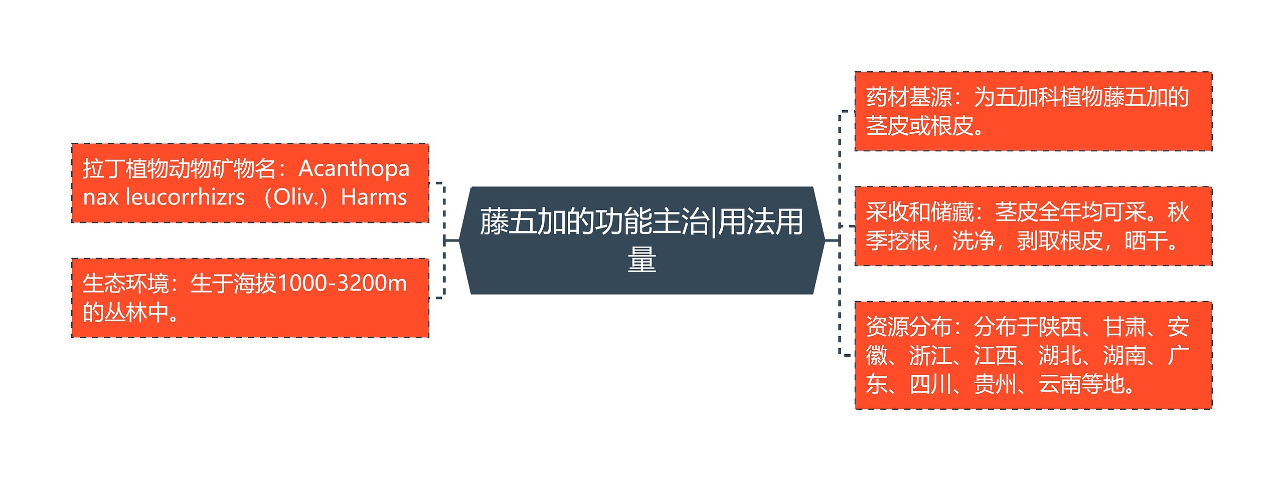 藤五加的功能主治|用法用量