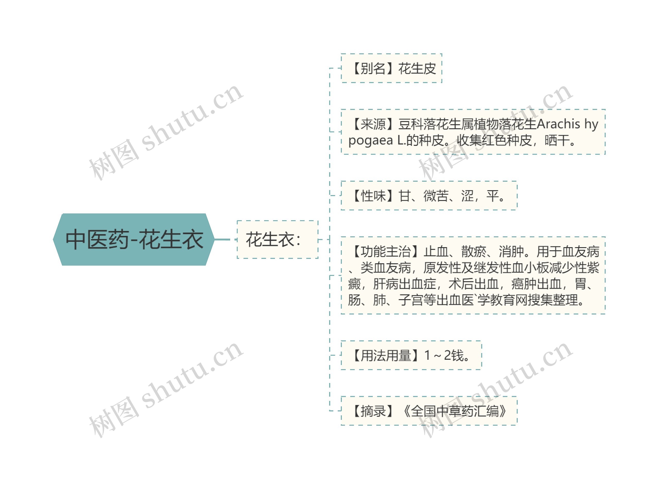 中医药-花生衣思维导图