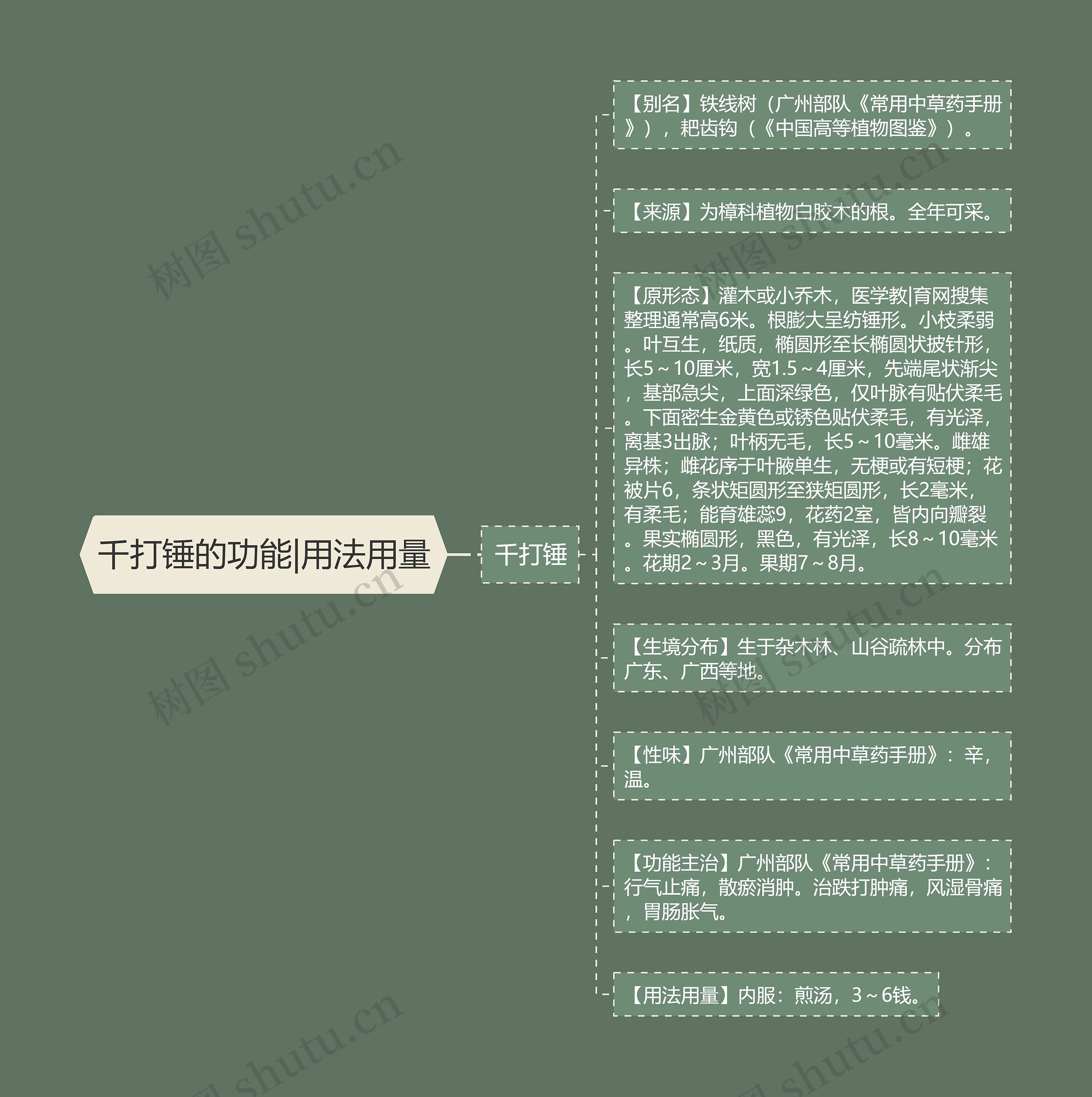 千打锤的功能|用法用量 千打锤的功能|用法用量