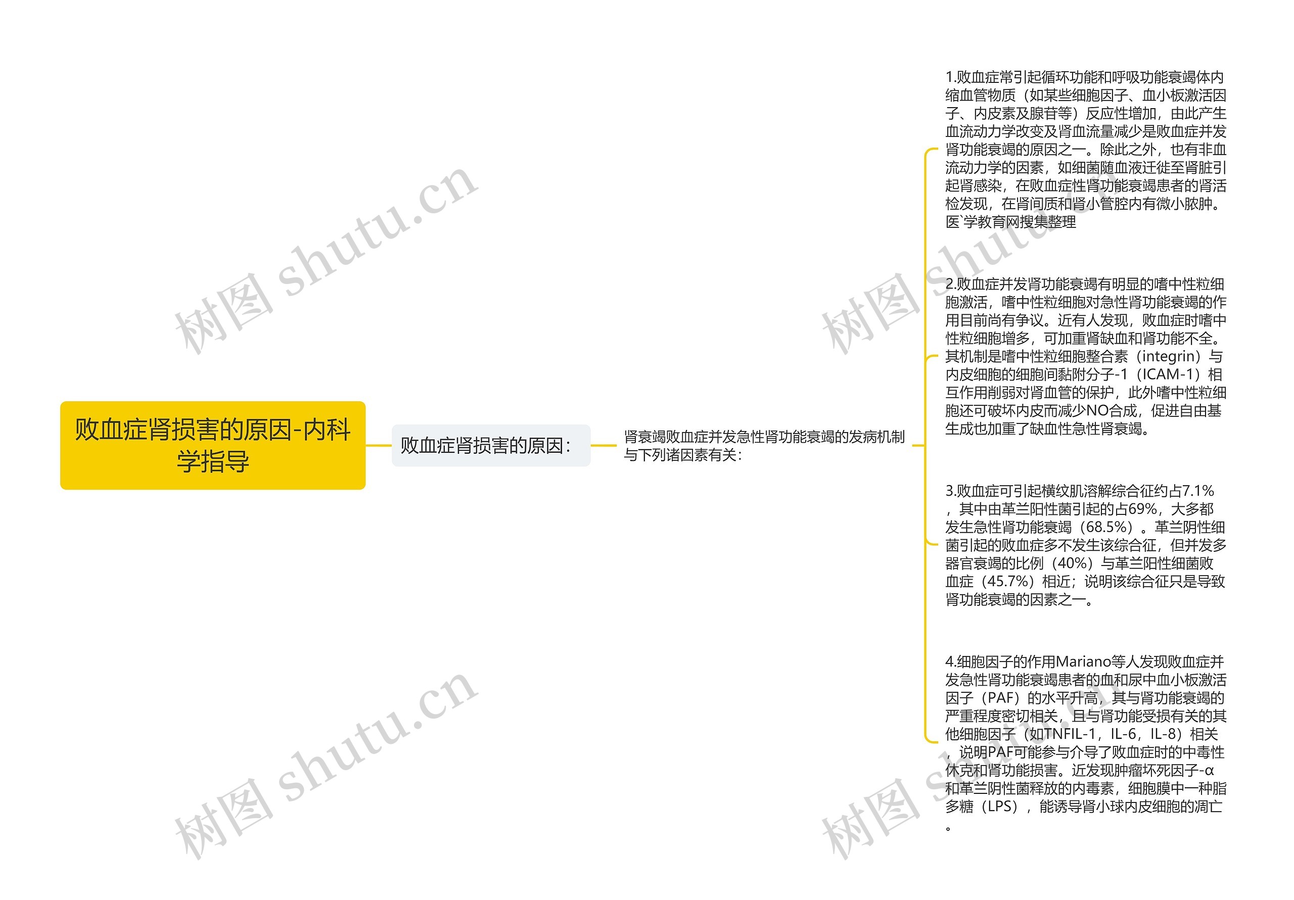 败血症肾损害的原因-内科学指导思维导图