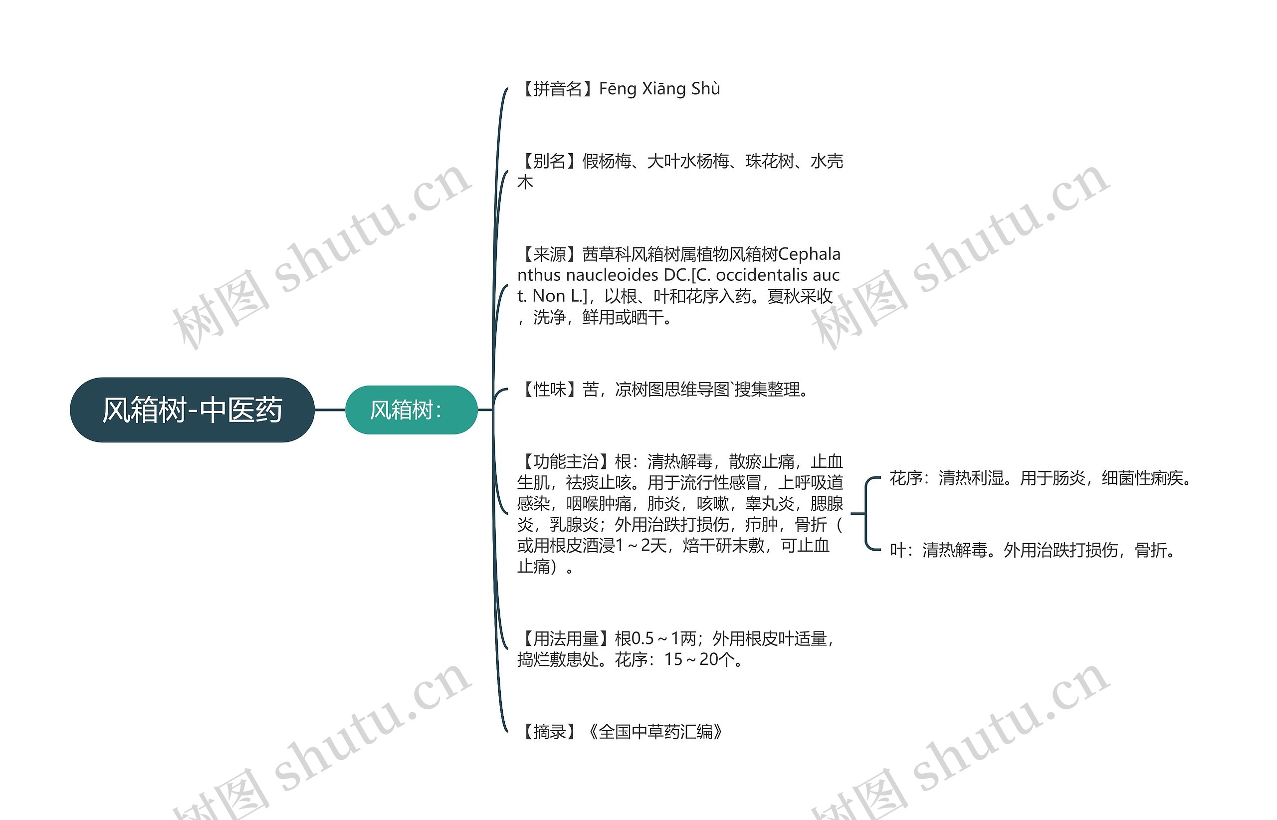 风箱树-中医药思维导图