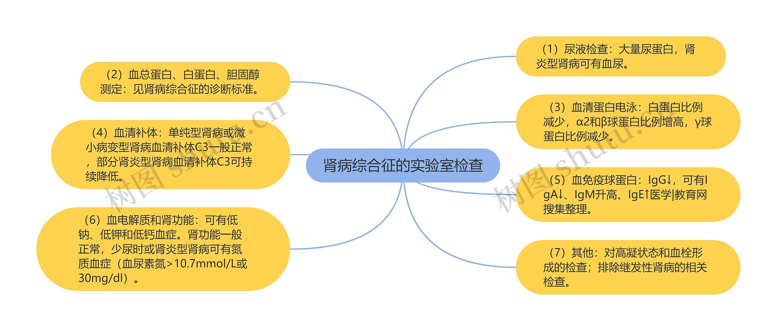 肾病综合征的实验室检查思维导图