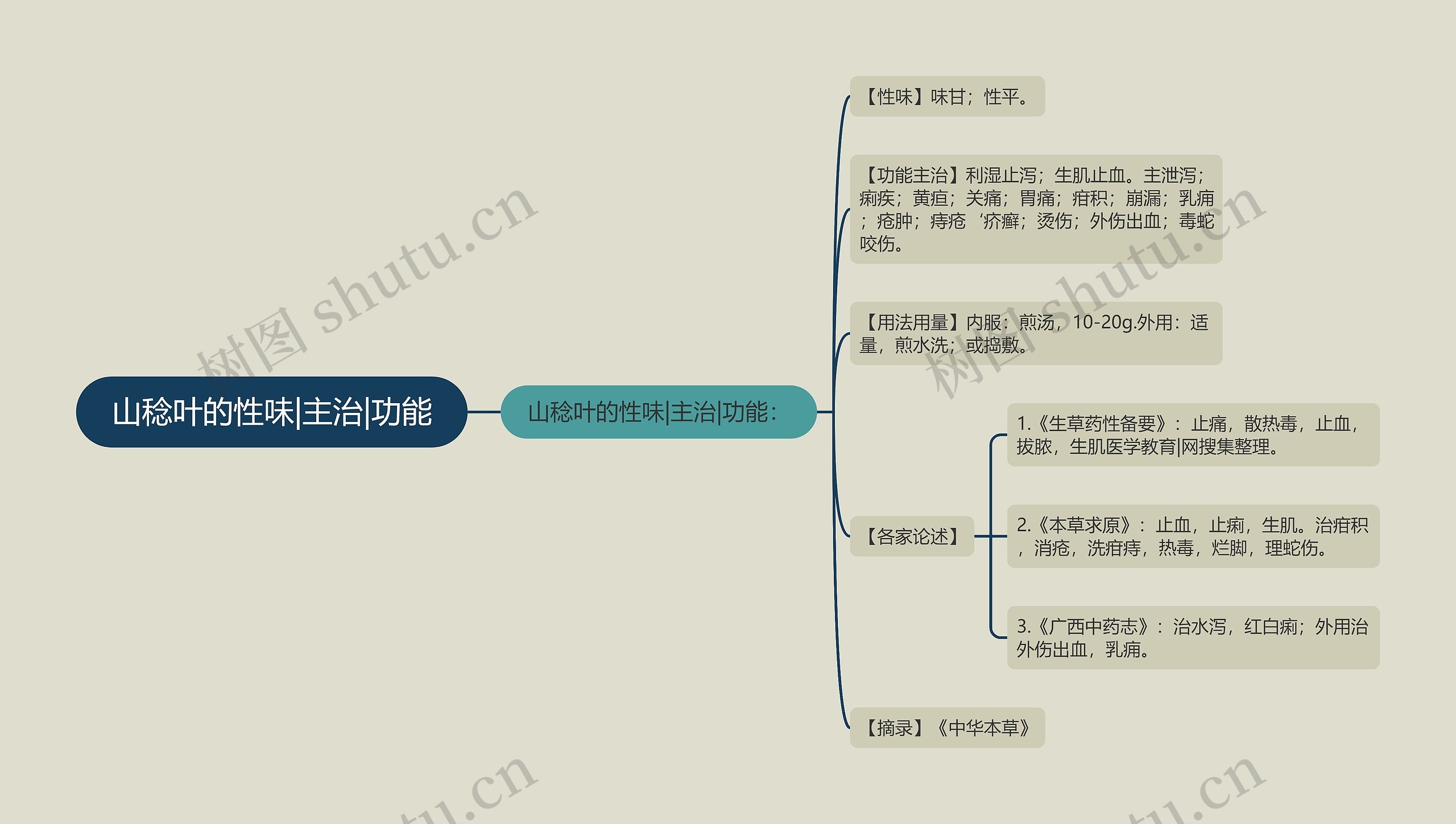 山稔叶的性味|主治|功能思维导图