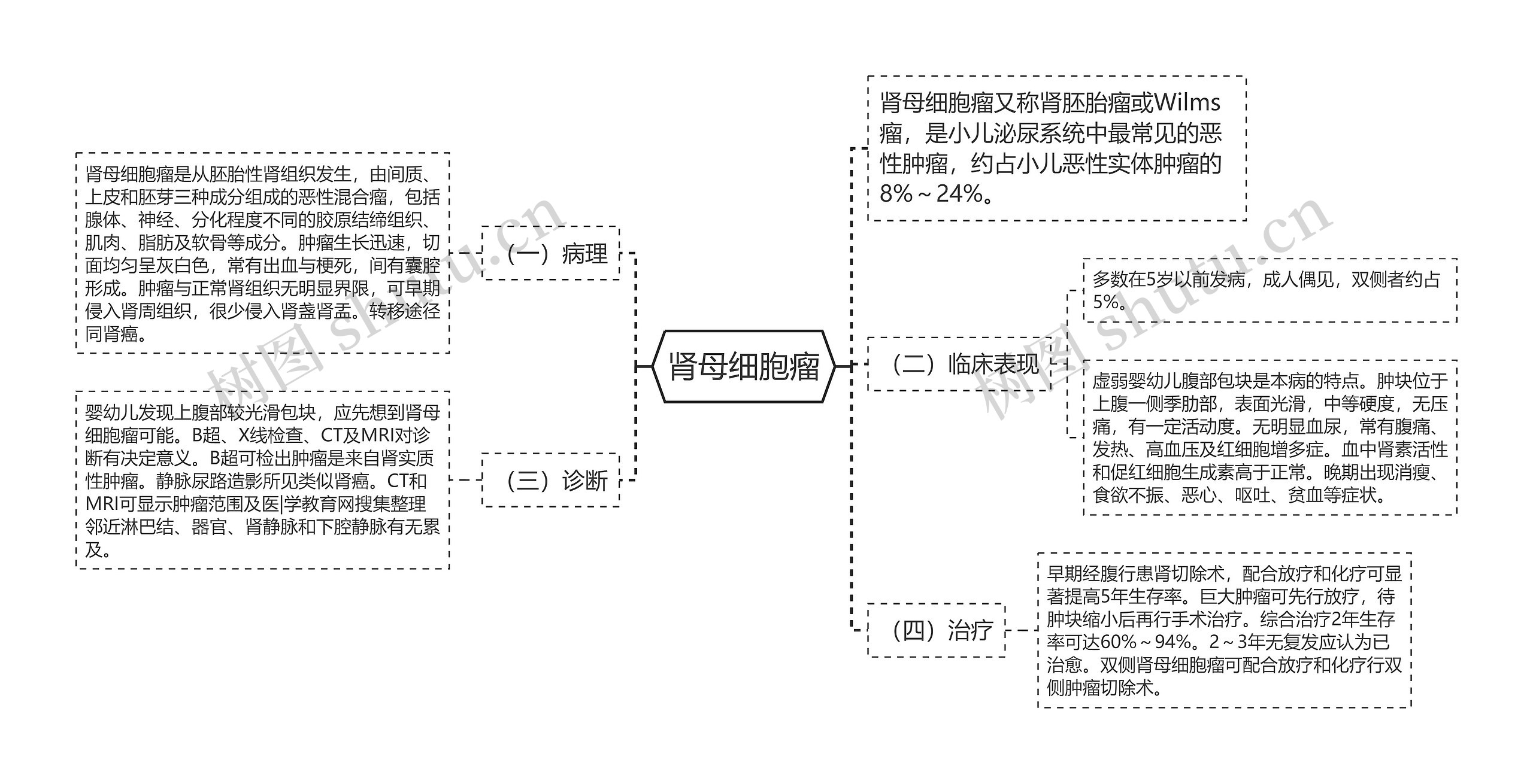 肾母细胞瘤