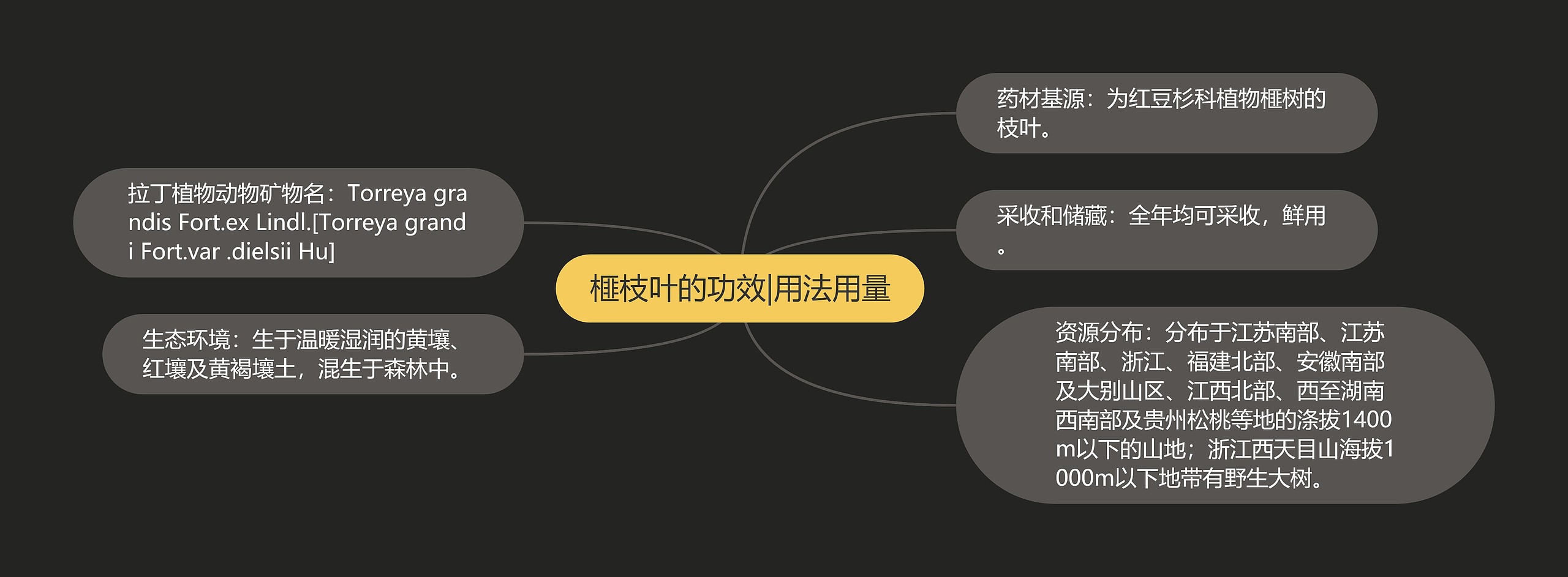 榧枝叶的功效|用法用量