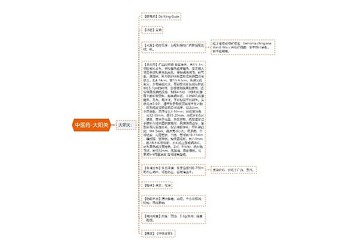 中医药-大阳关