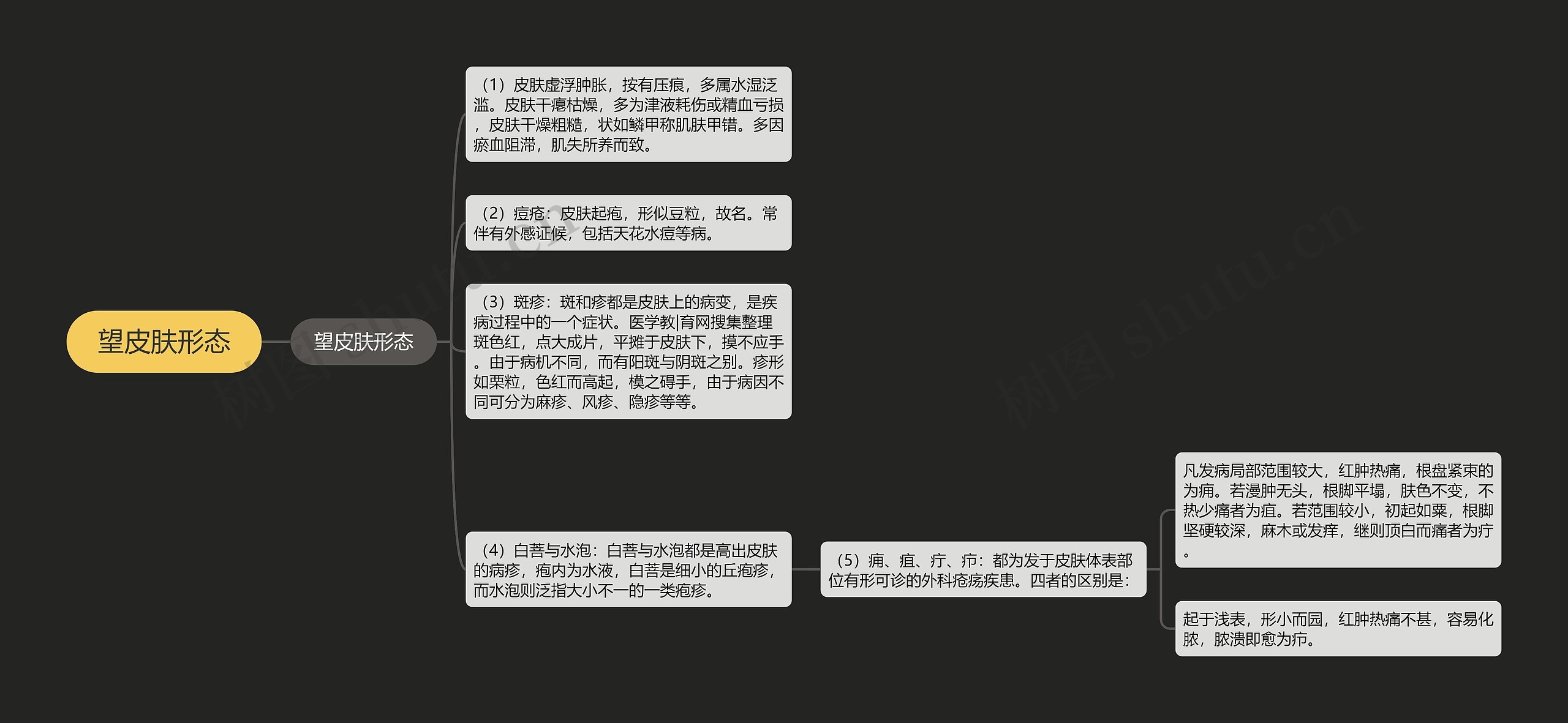 望皮肤形态 望皮肤形态