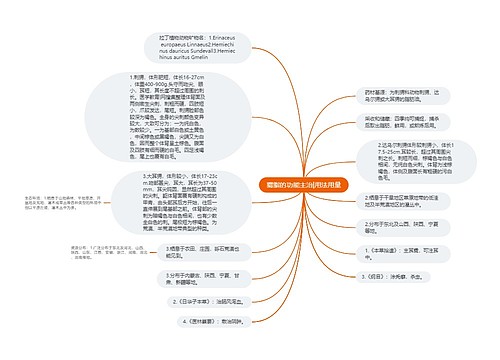 猬脂的功能主治|用法用量