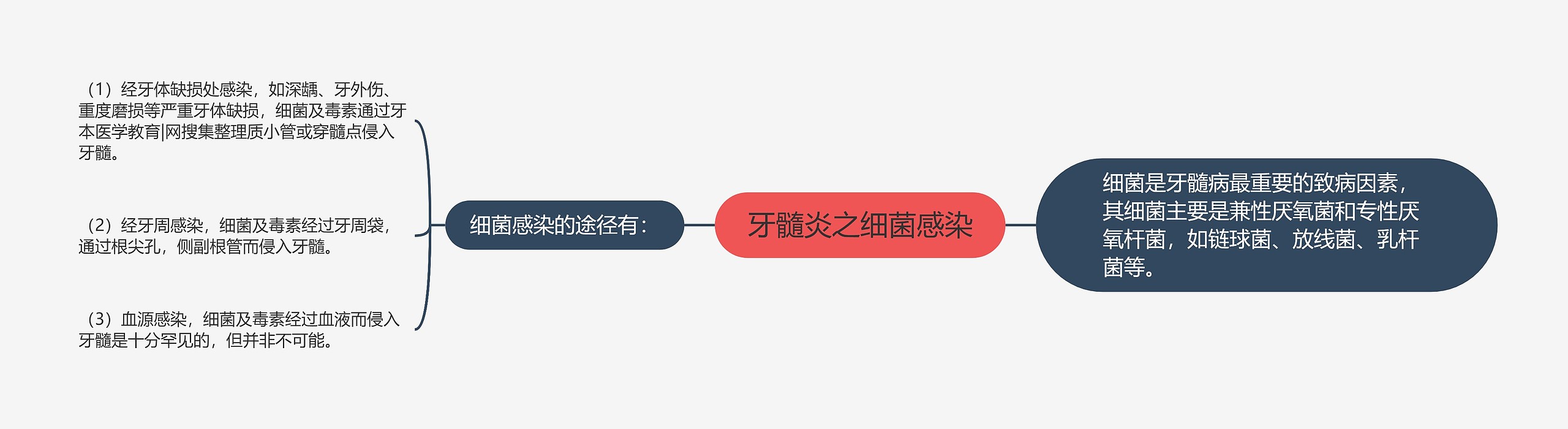 牙髓炎之细菌感染思维导图