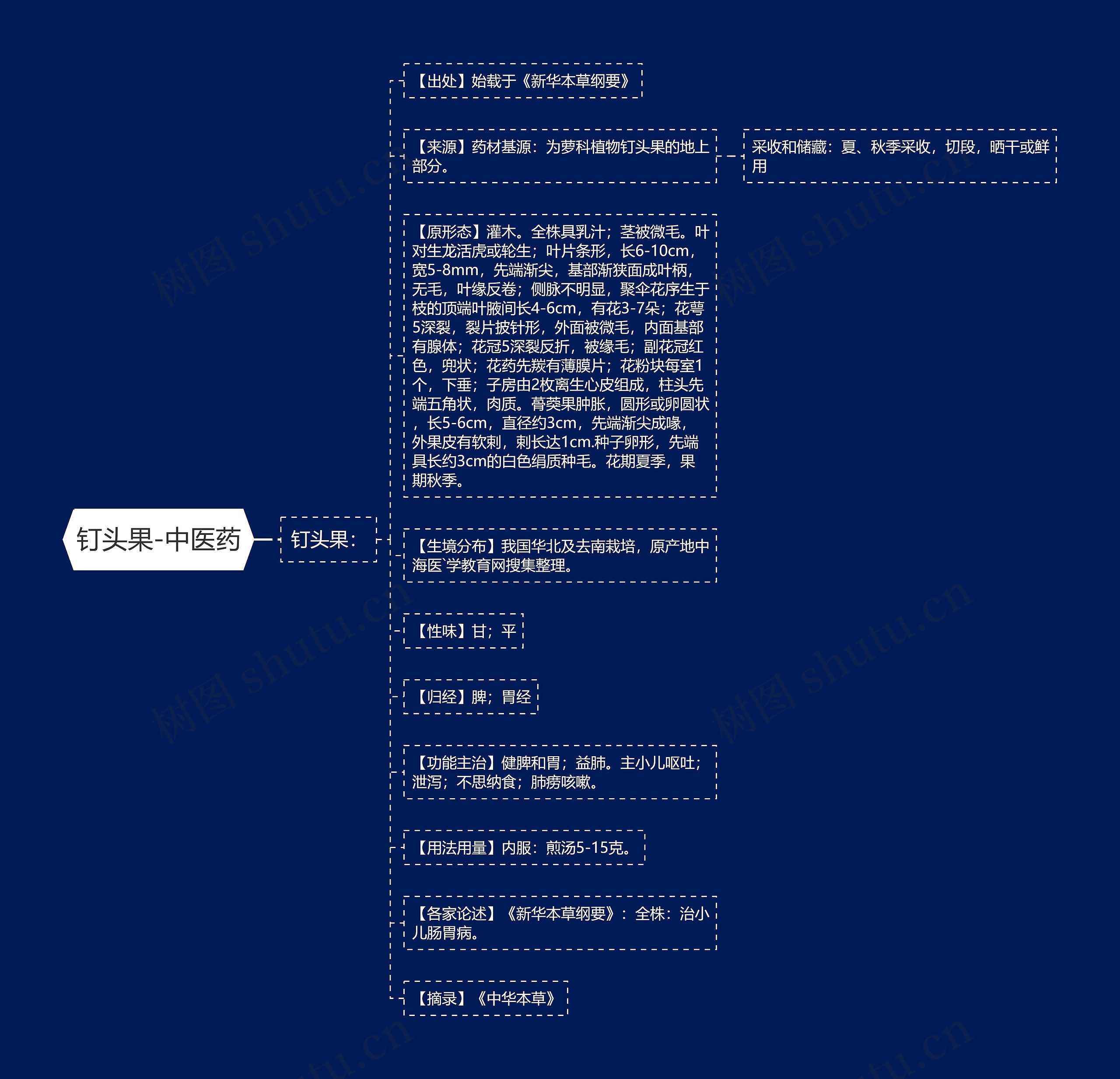钉头果-中医药思维导图