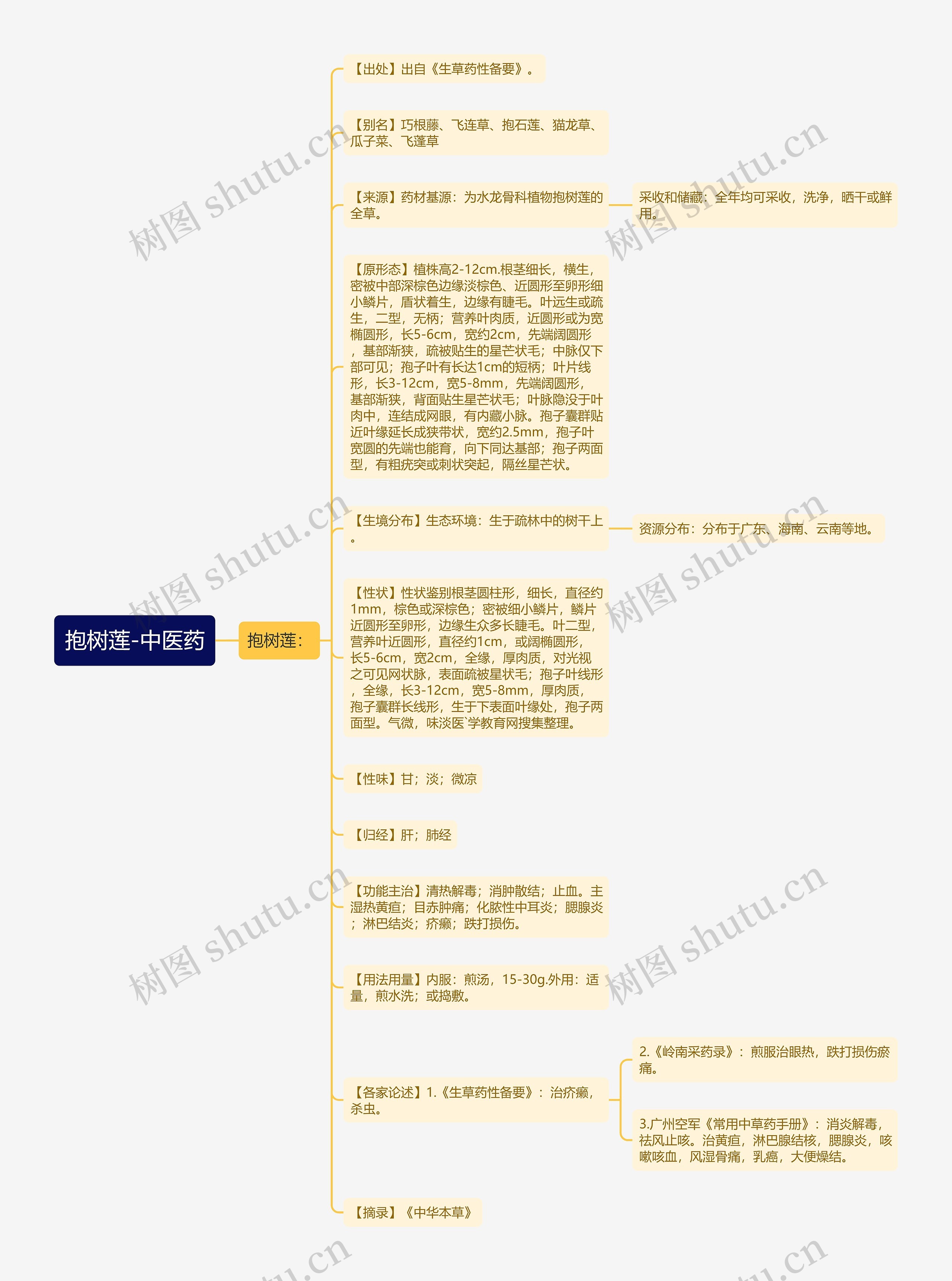 抱树莲-中医药思维导图