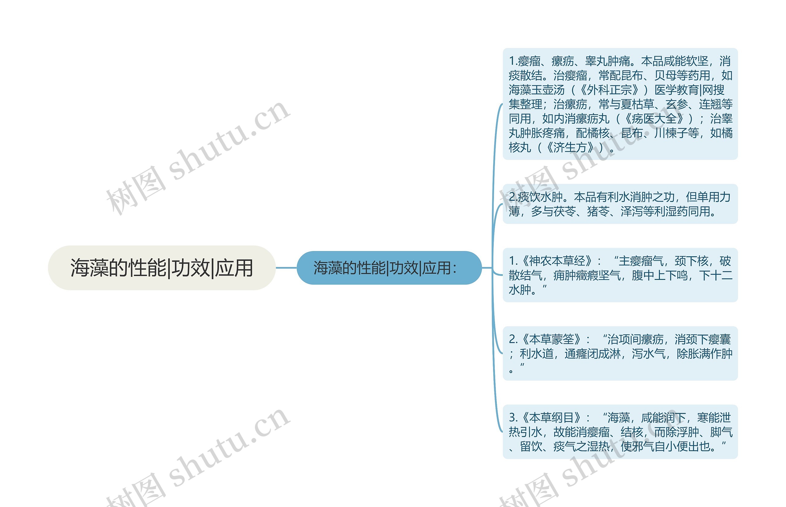 海藻的性能|功效|应用思维导图