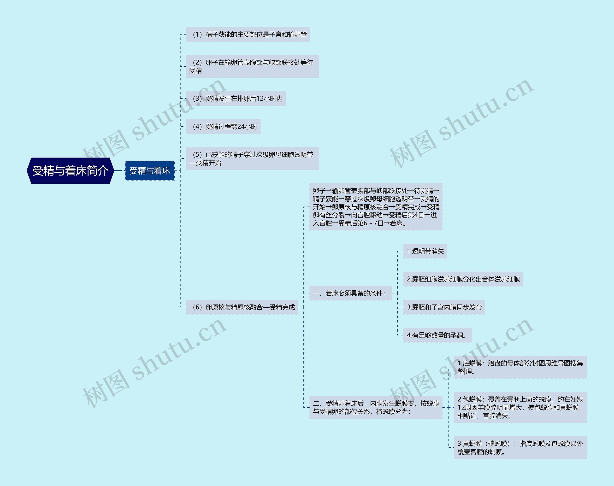 受精与着床简介思维导图