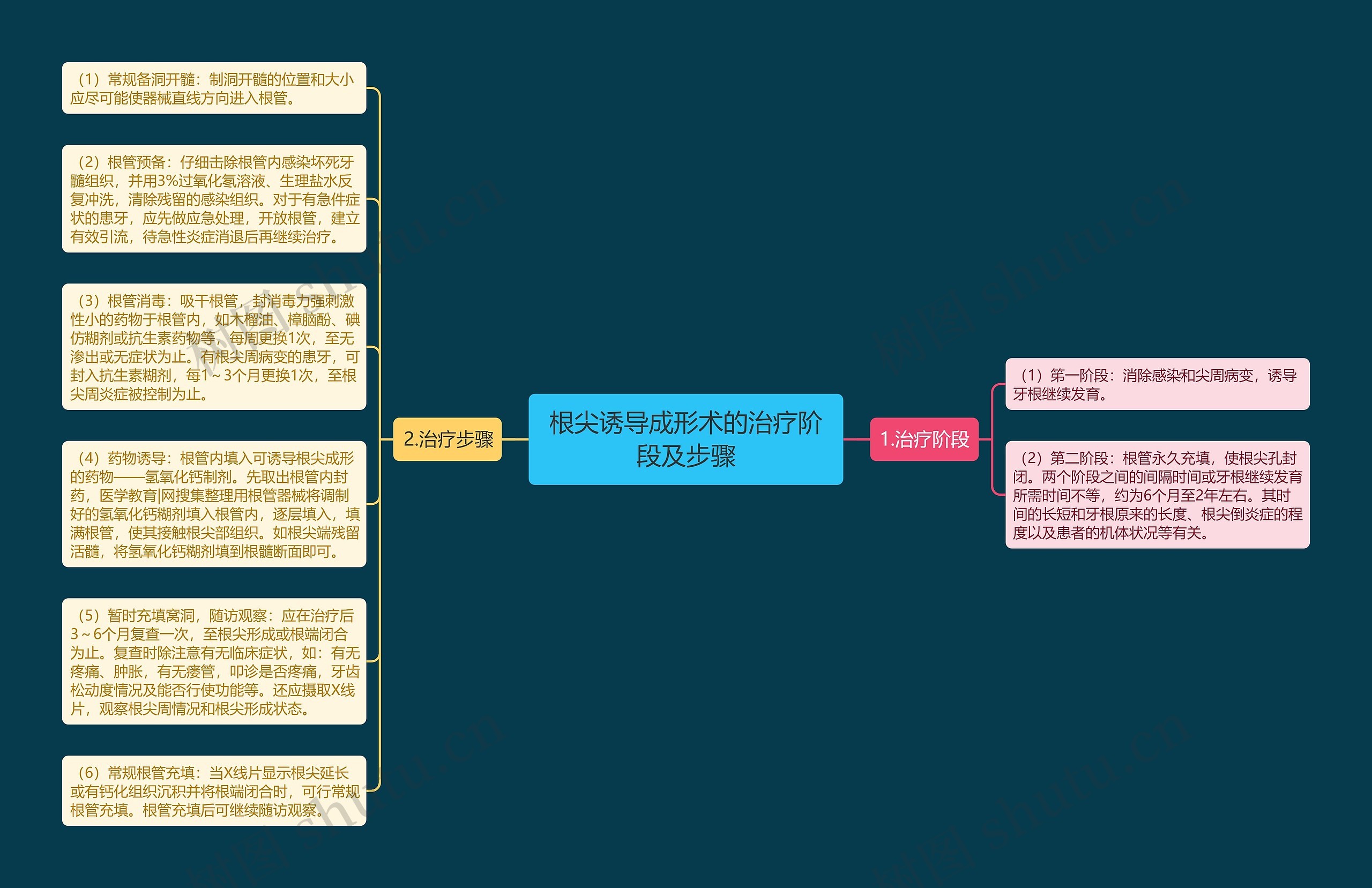 根尖诱导成形术的治疗阶段及步骤思维导图
