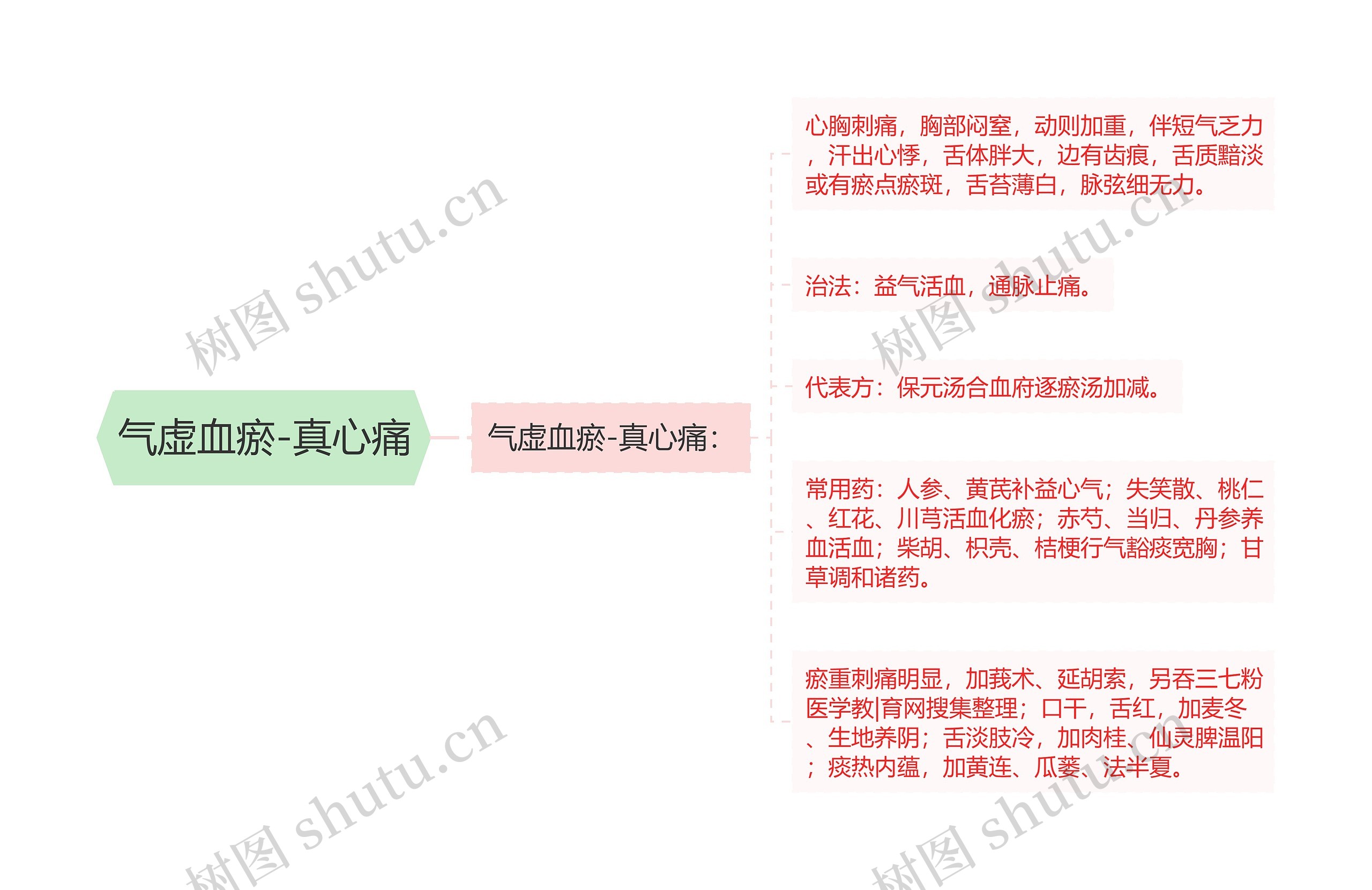 气虚血瘀-真心痛思维导图