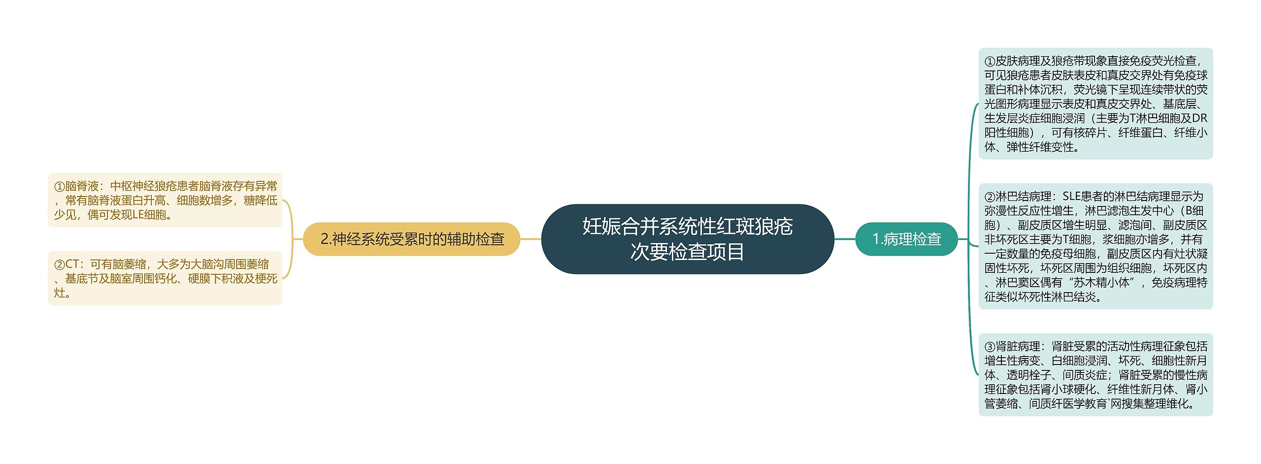 妊娠合并系统性红斑狼疮次要检查项目