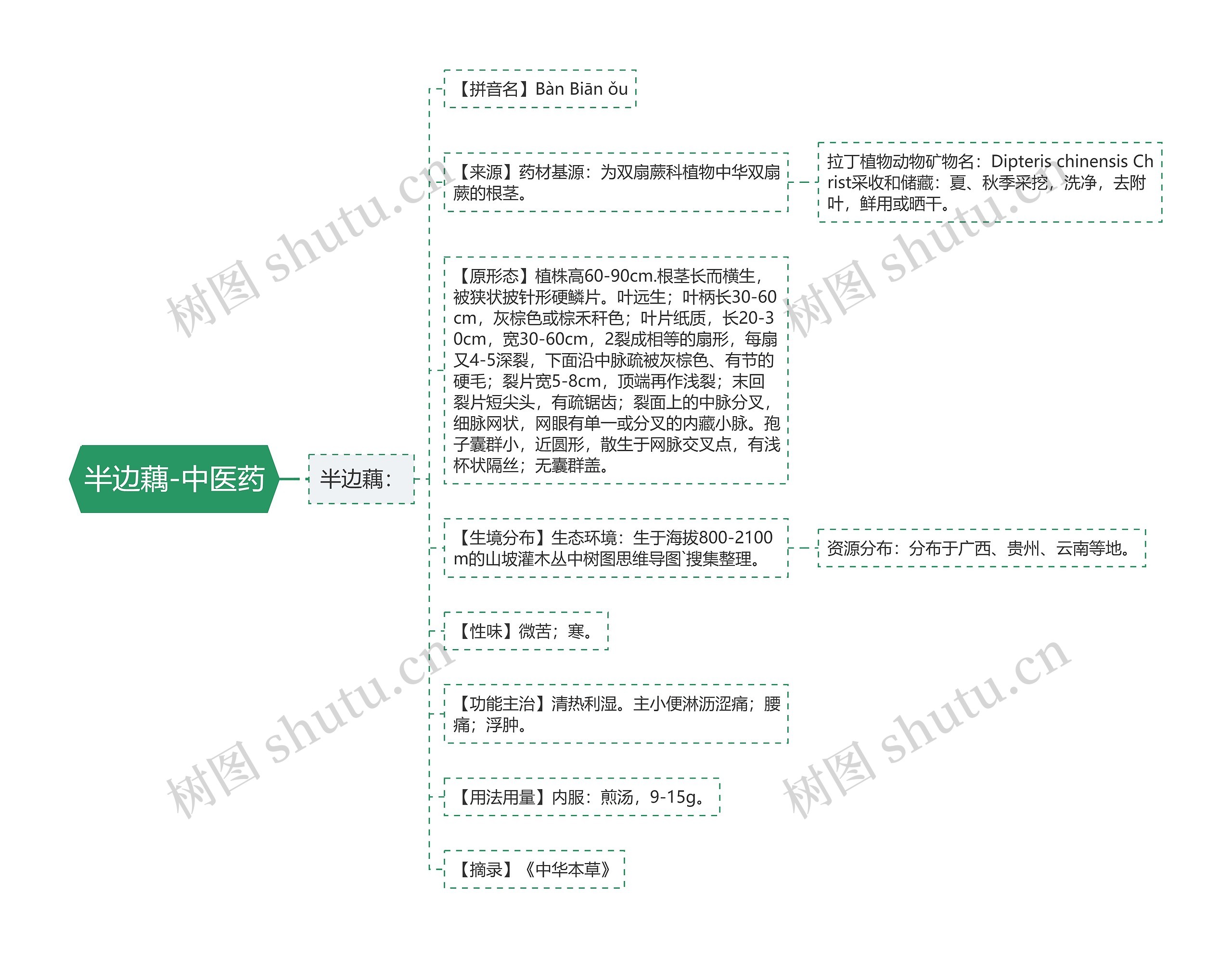 半边藕-中医药 半边藕-中医药