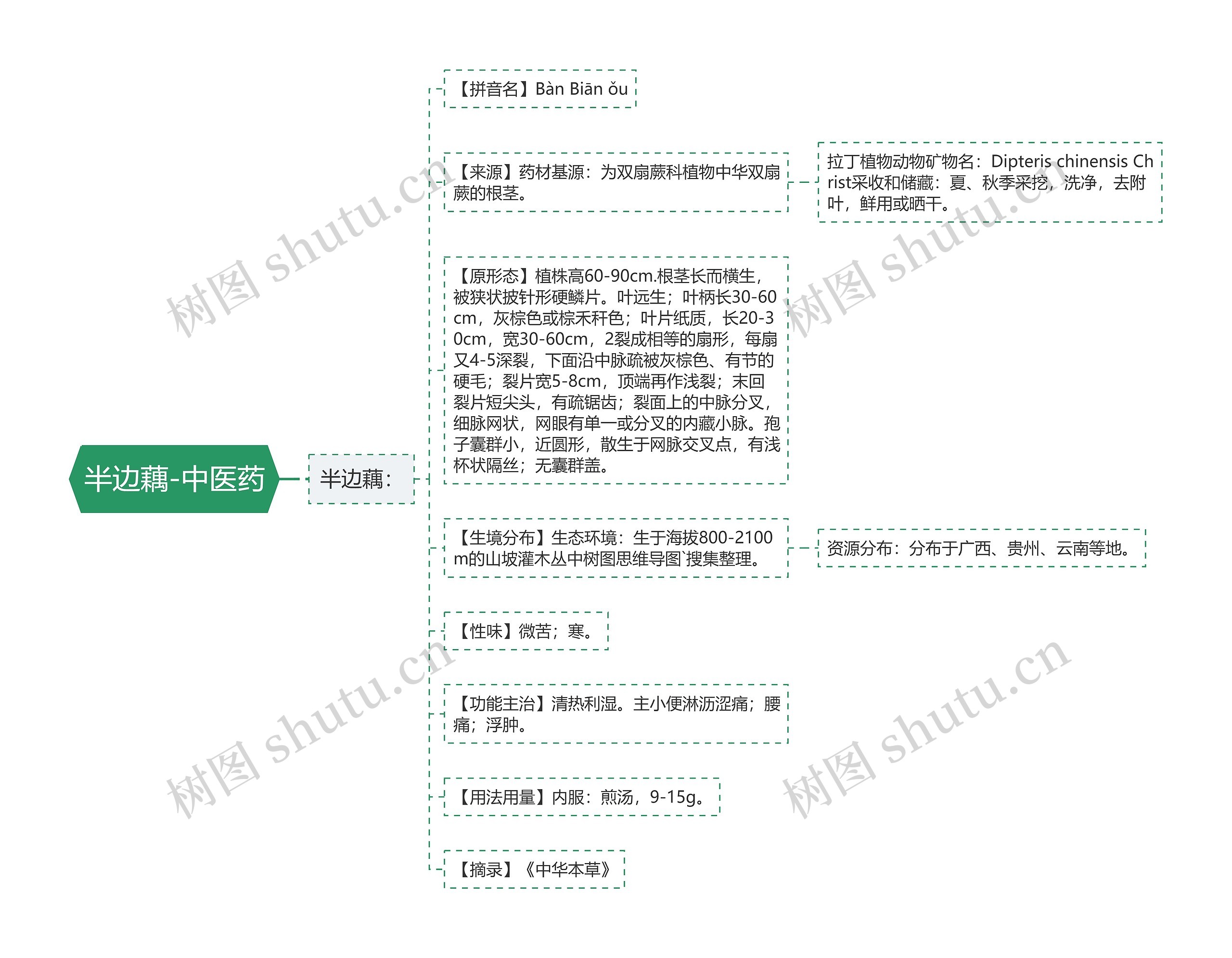 半边藕-中医药思维导图