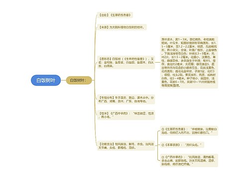 白饭树叶