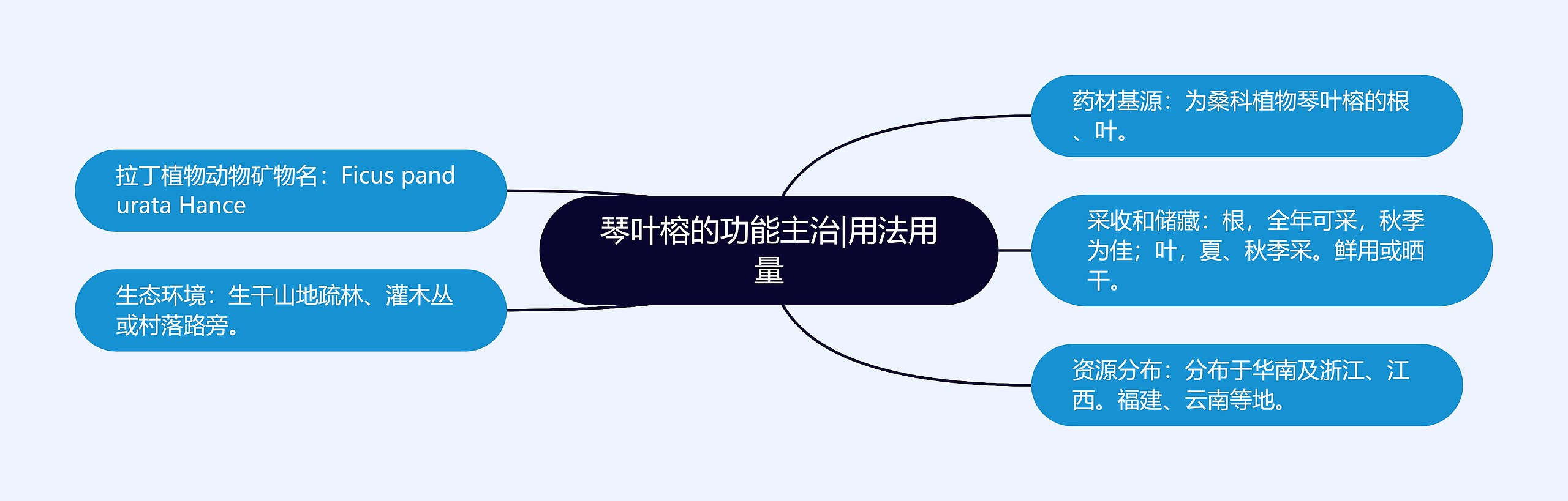 琴叶榕的功能主治|用法用量思维导图