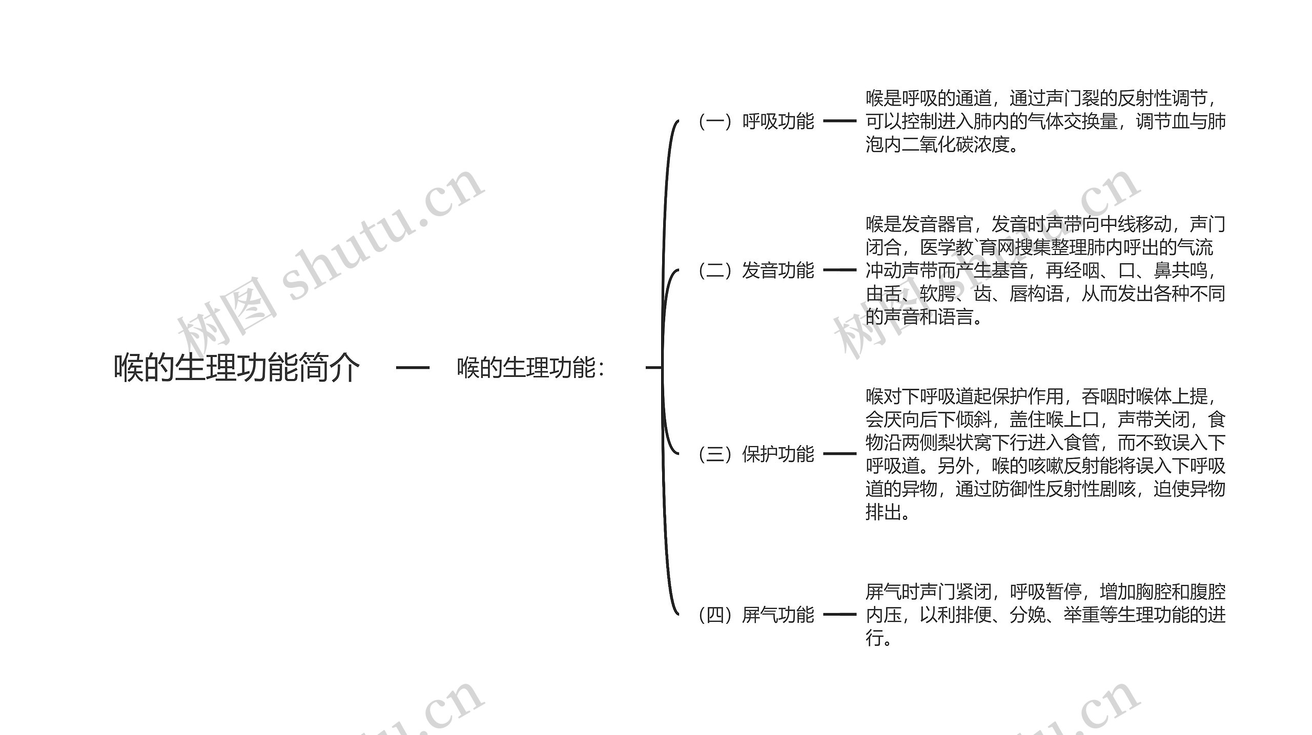 喉的生理功能简介