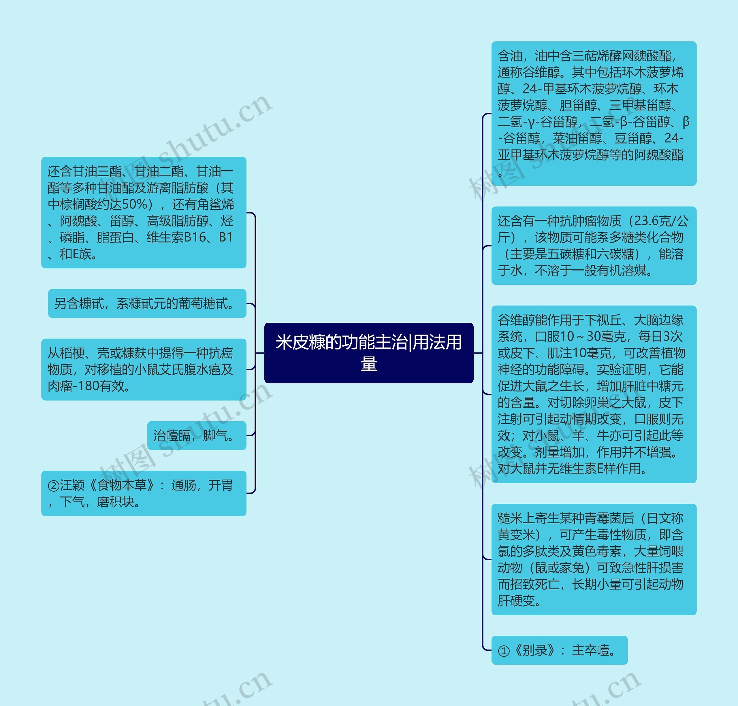 米皮糠的功能主治|用法用量思维导图