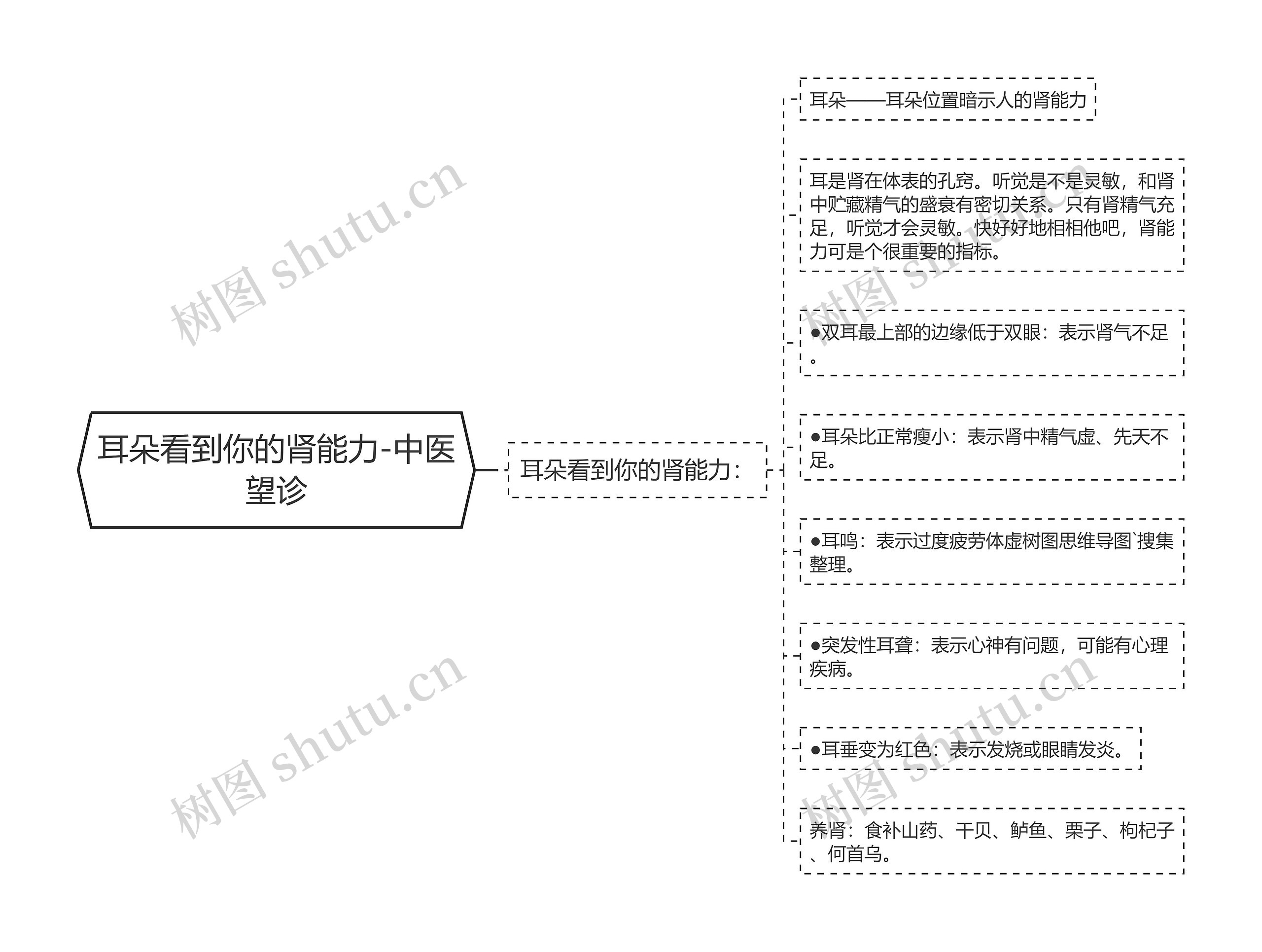 耳朵看到你的肾能力-中医望诊思维导图